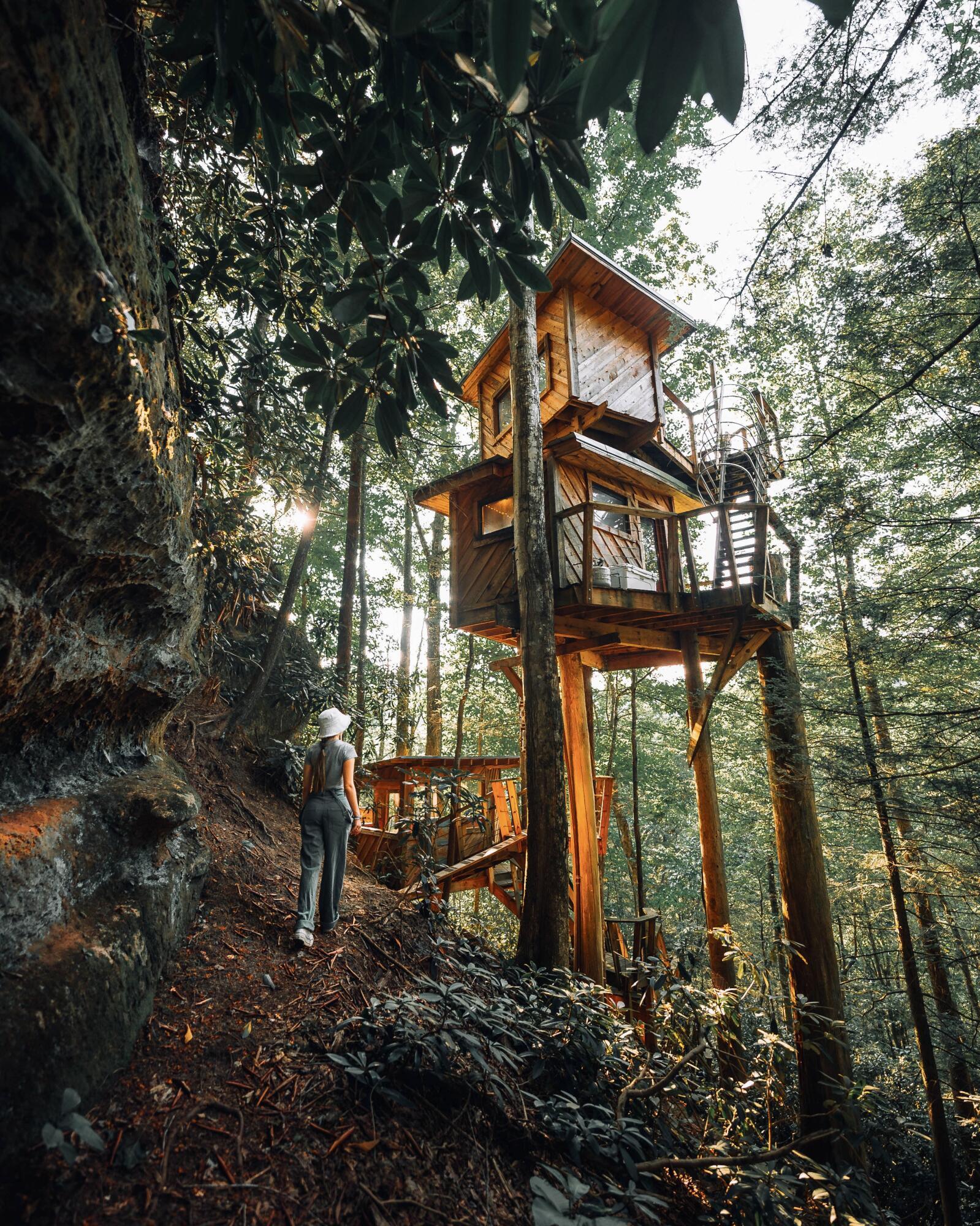 Image 1: DSC03498-Enhanced-NR 2