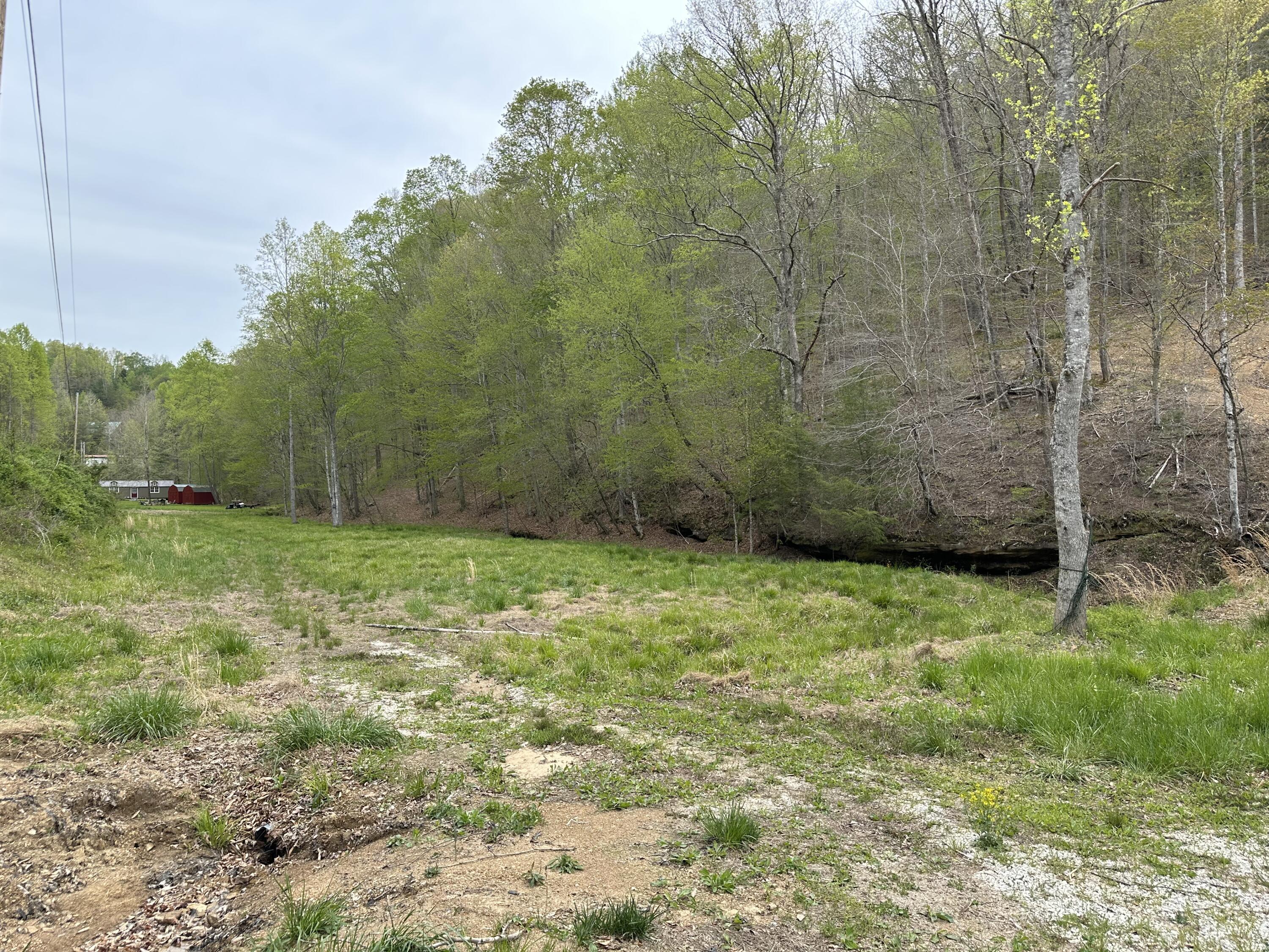 Image 2: Deer Run