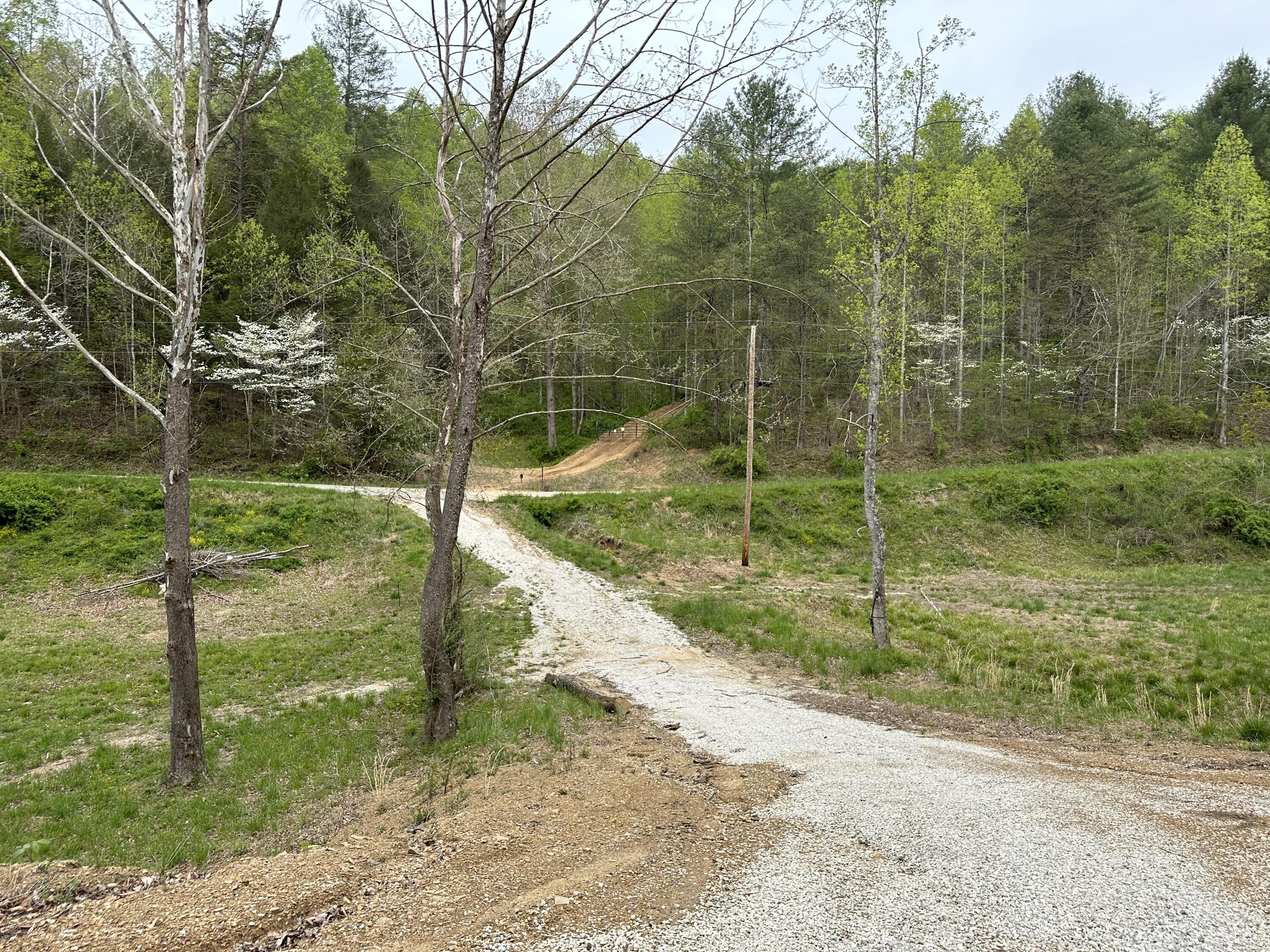 Image 3: Deer Run