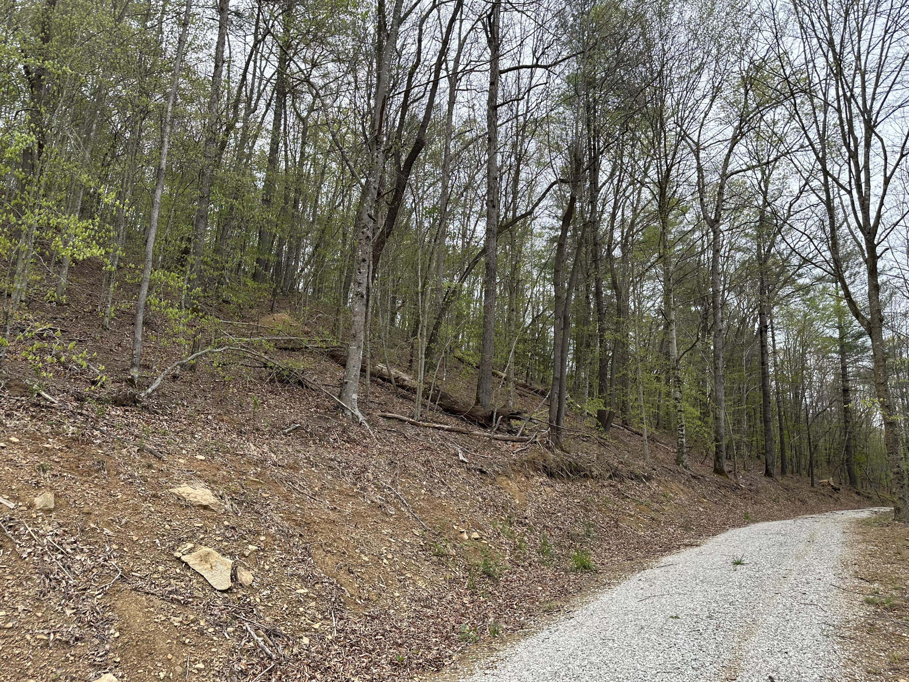 Image 4: IMG_2115