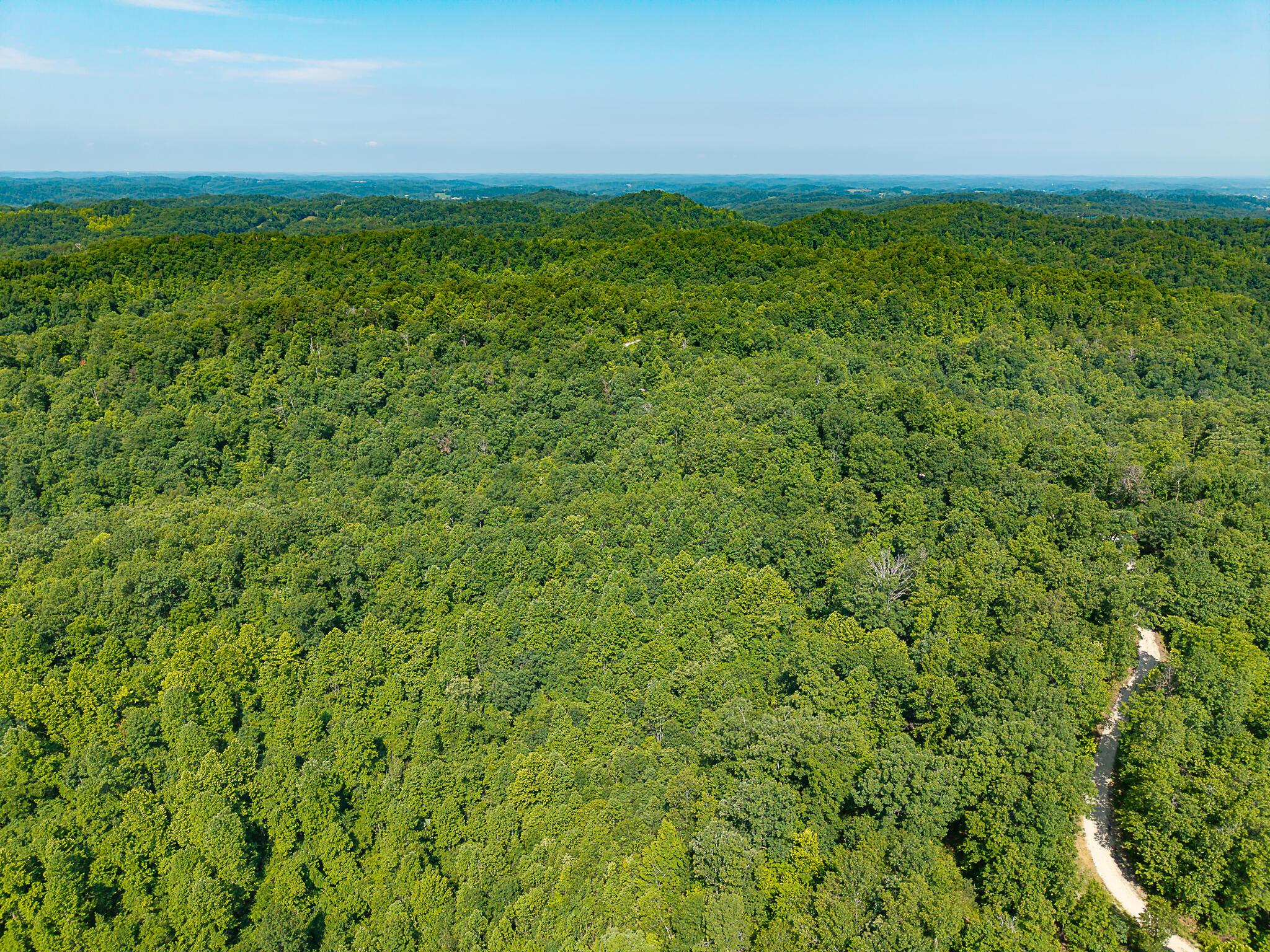 Image 3: Aerial of Property