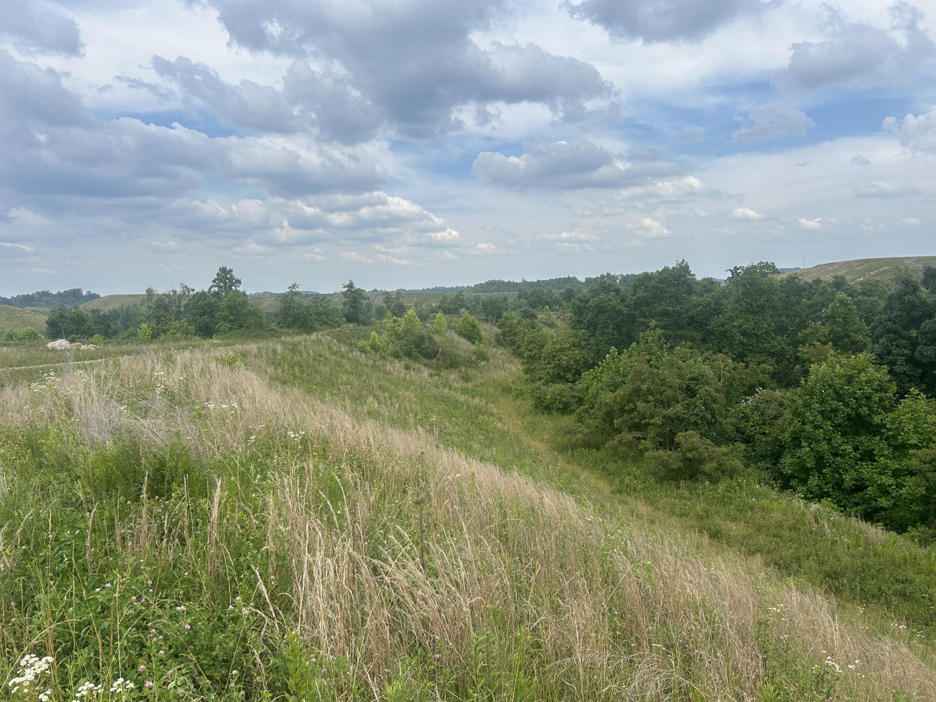 Image 2: Deathrage 9