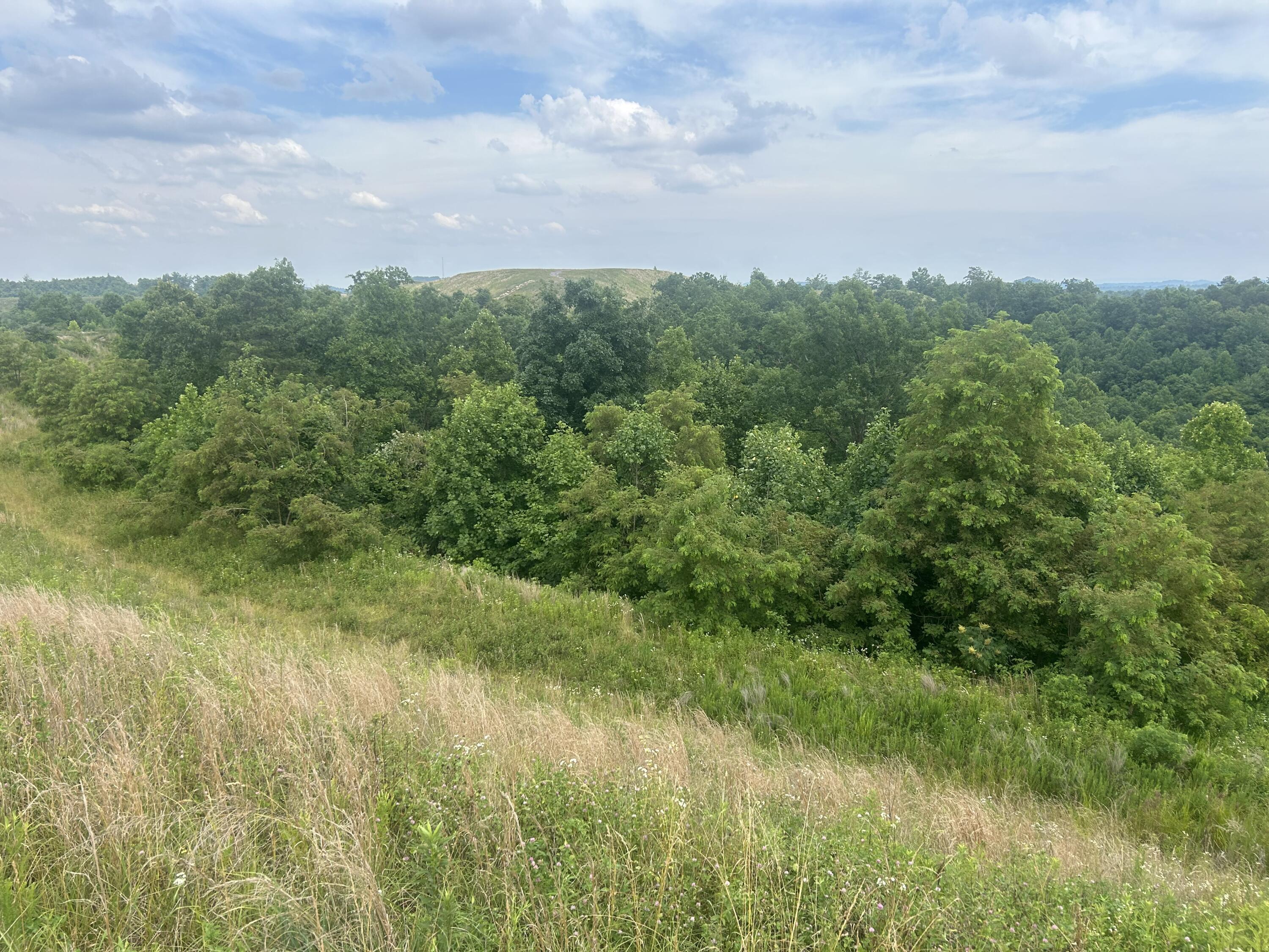 Image 3: Deathrage 8