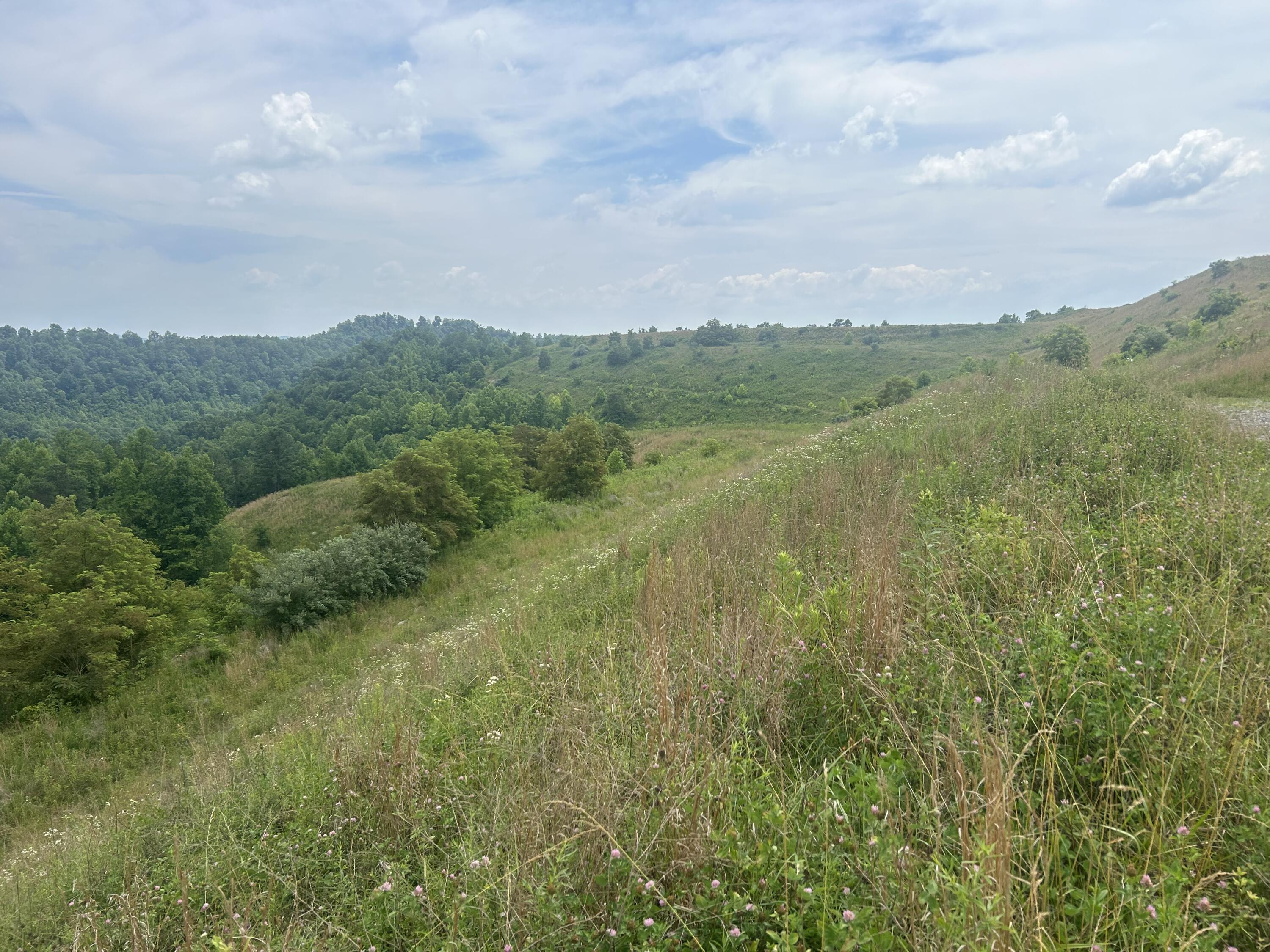 Image 4: Deathrage 7