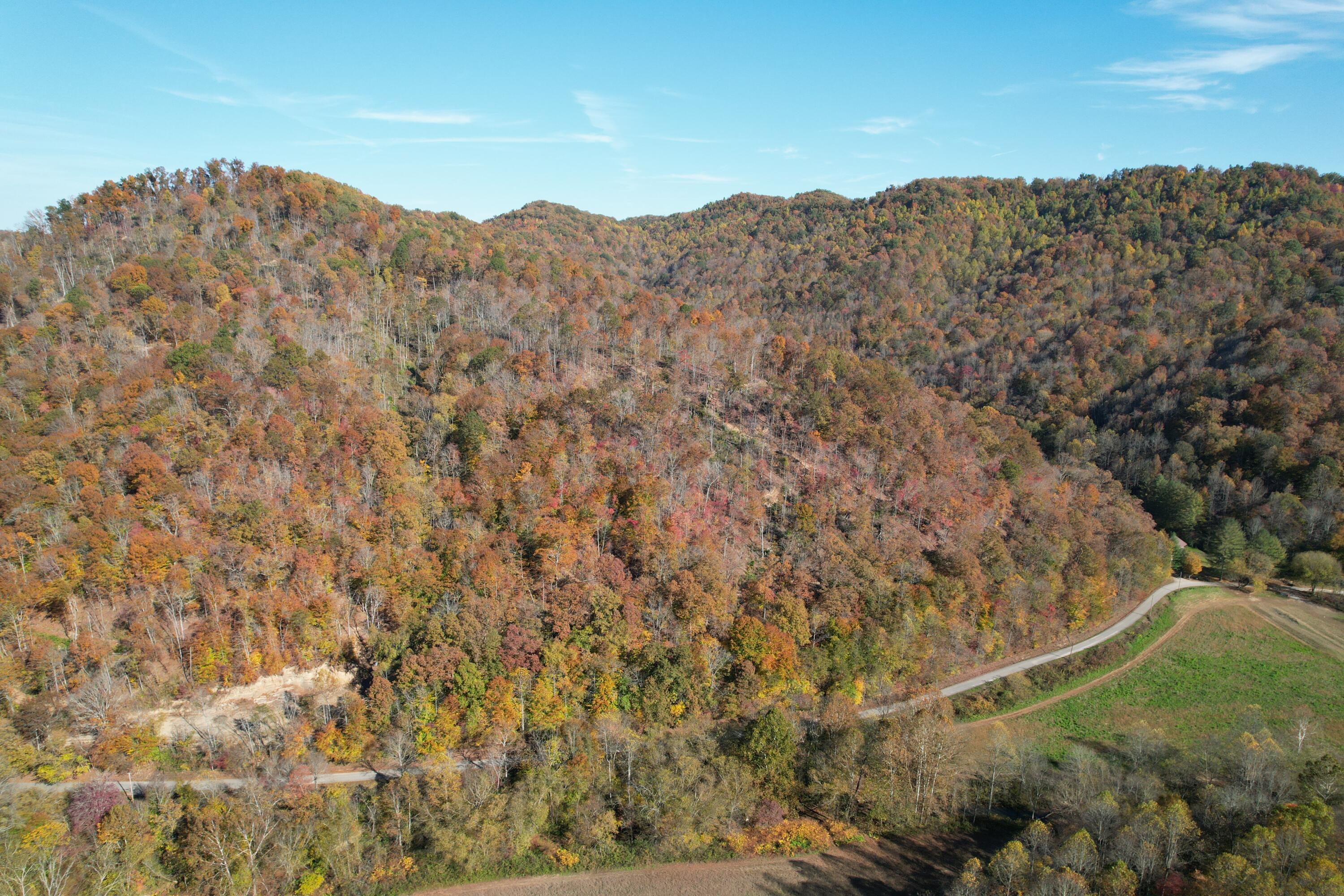 Image 2: 20231025152936_IMG_2728