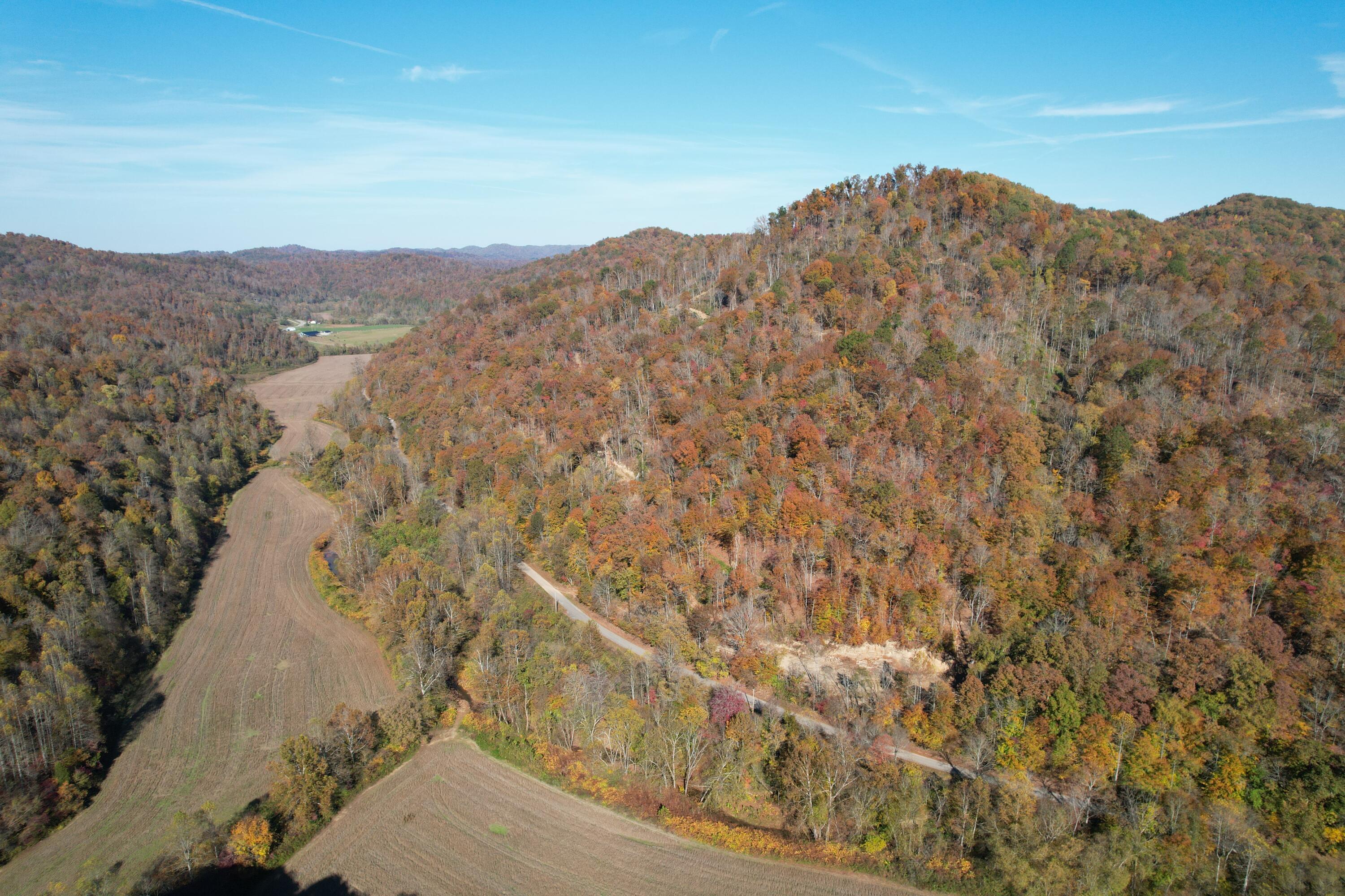 Image 3: 20231025152940_IMG_2727