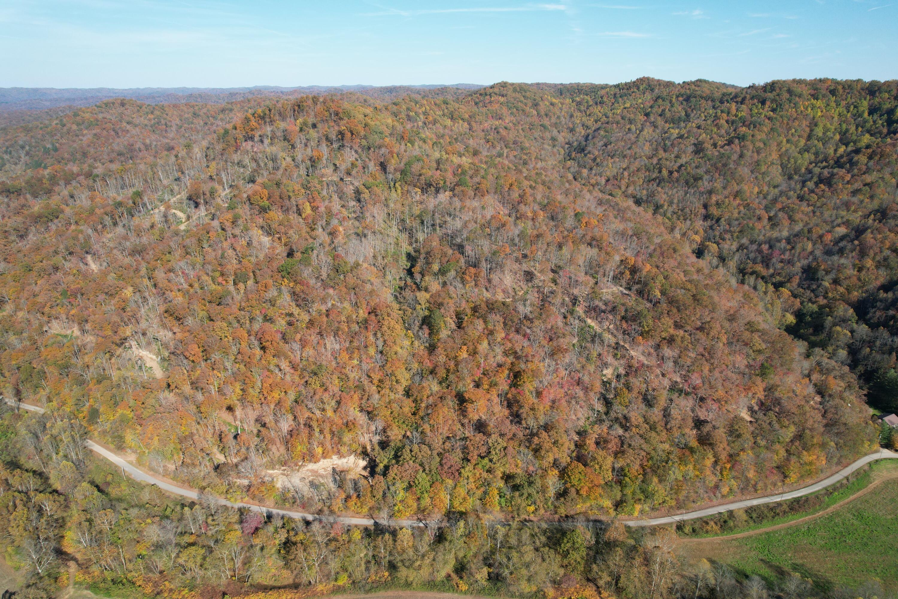 Image 4: 20231025153026_IMG_2724