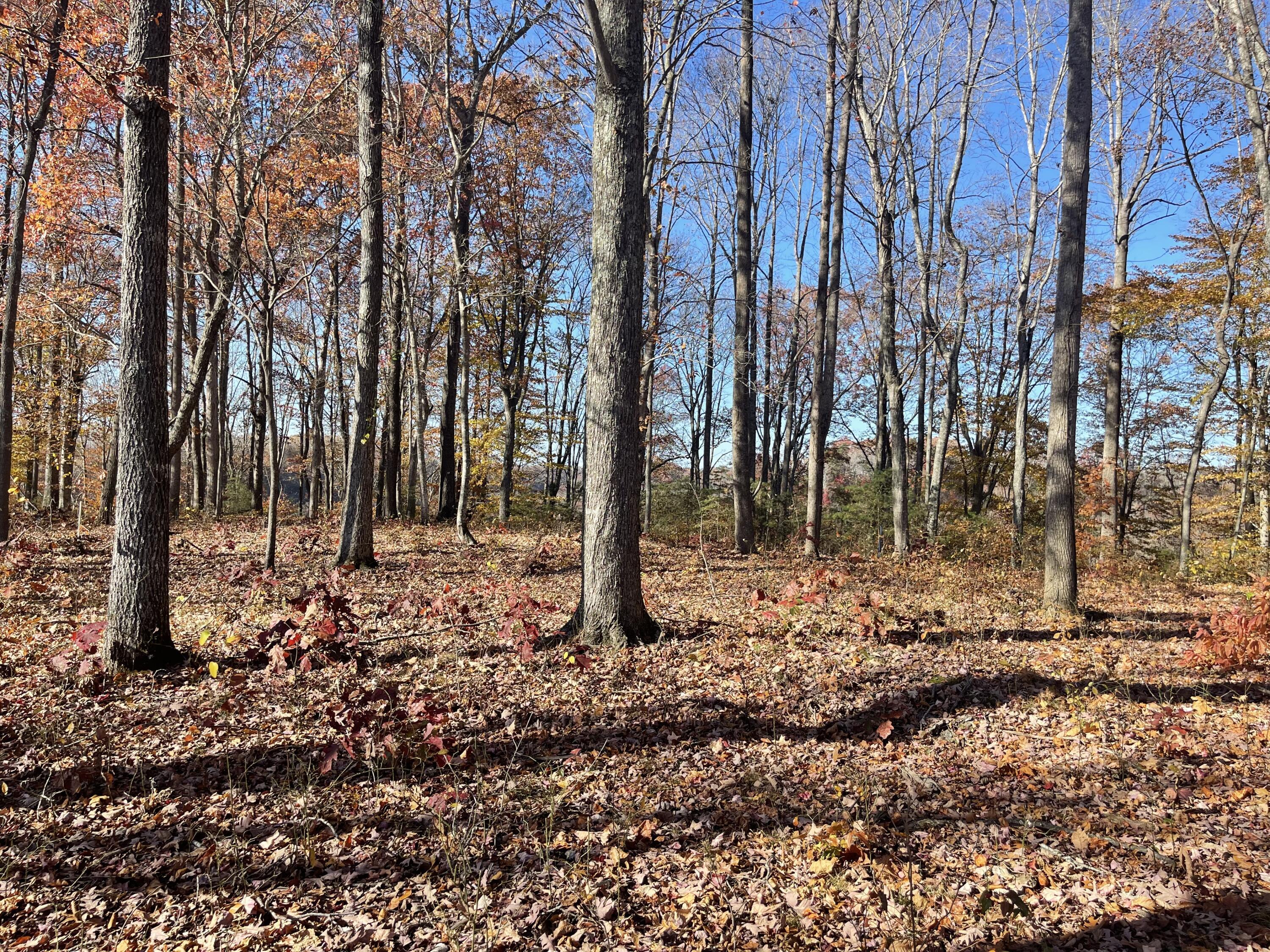 Image 3: IMG_3921