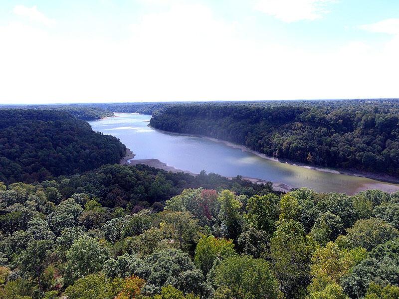 Image 4: DJI_0003003