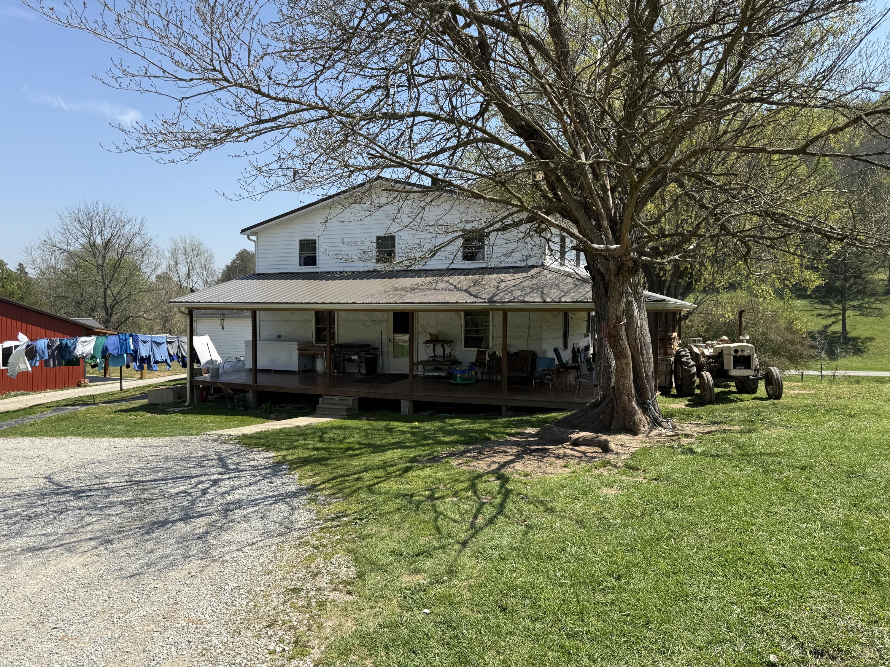Image 4: IMG_7493