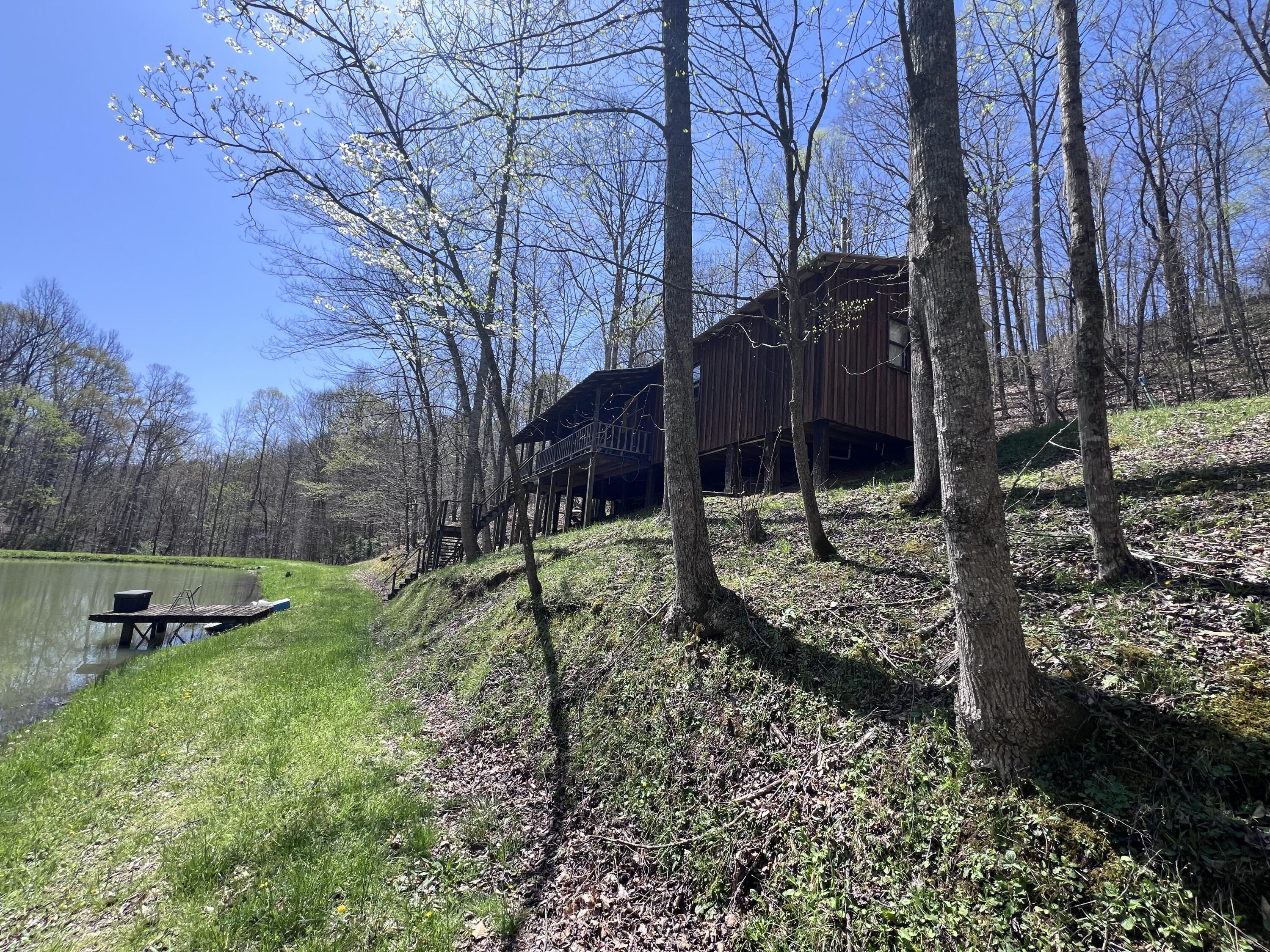 Image 3: IMG_8916