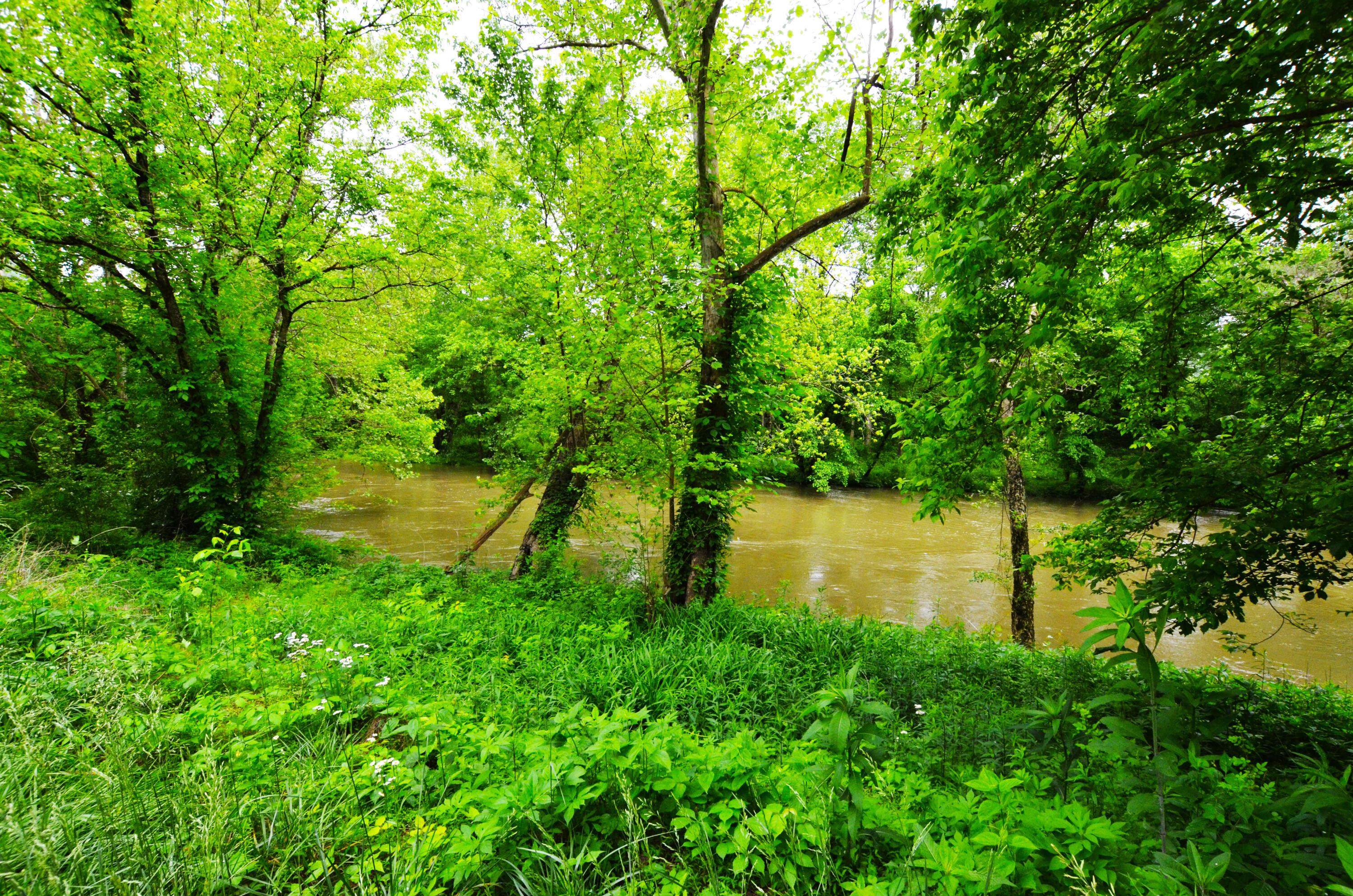 Image 3: Middle Fork River!