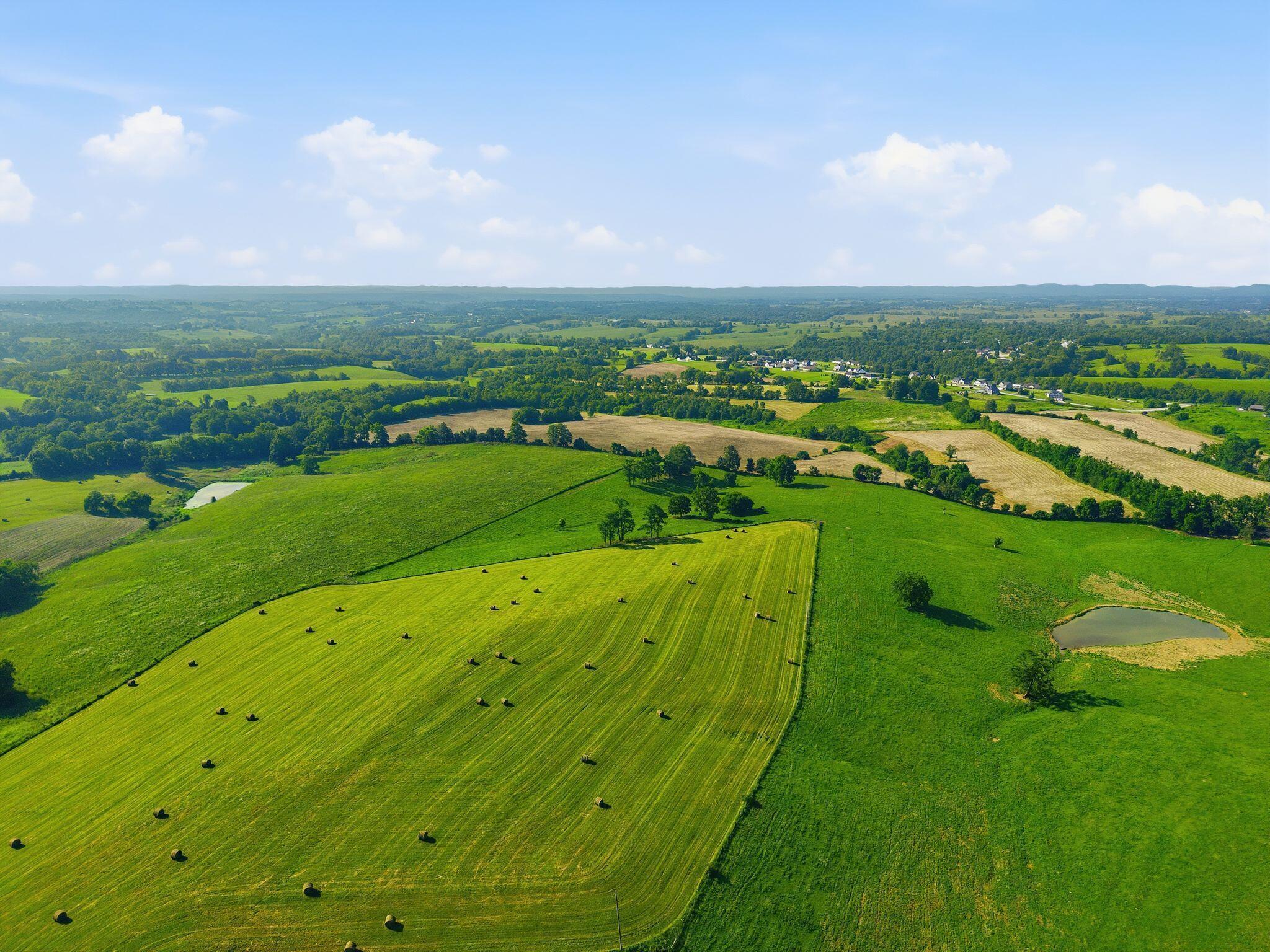 Image 1: dji_20260717213408_0240_d