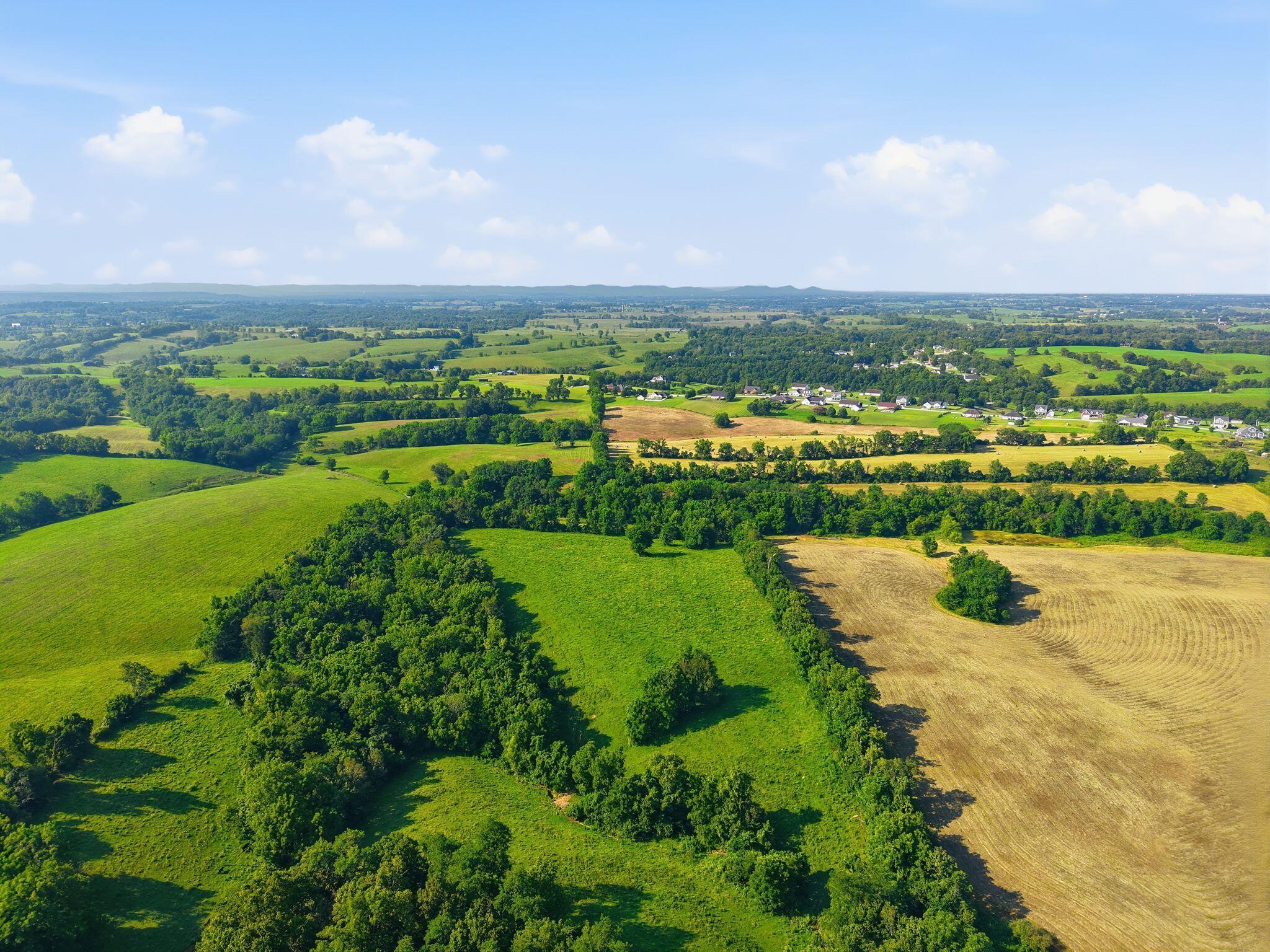 Image 3: dji_20260717213154_0239_d