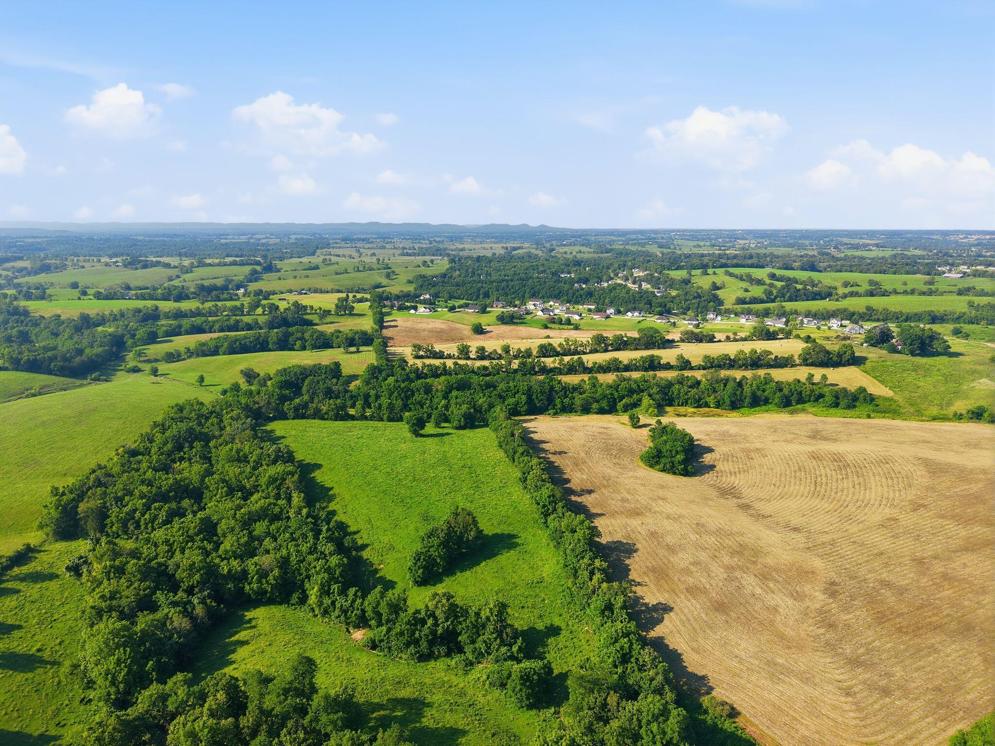 Image 4: dji_20260717213151_0238_d