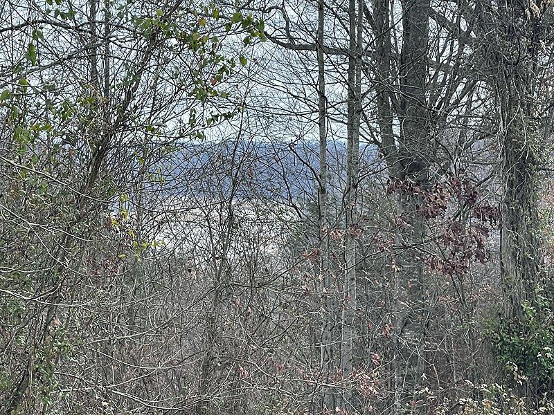 Image 1: IMG_1629002