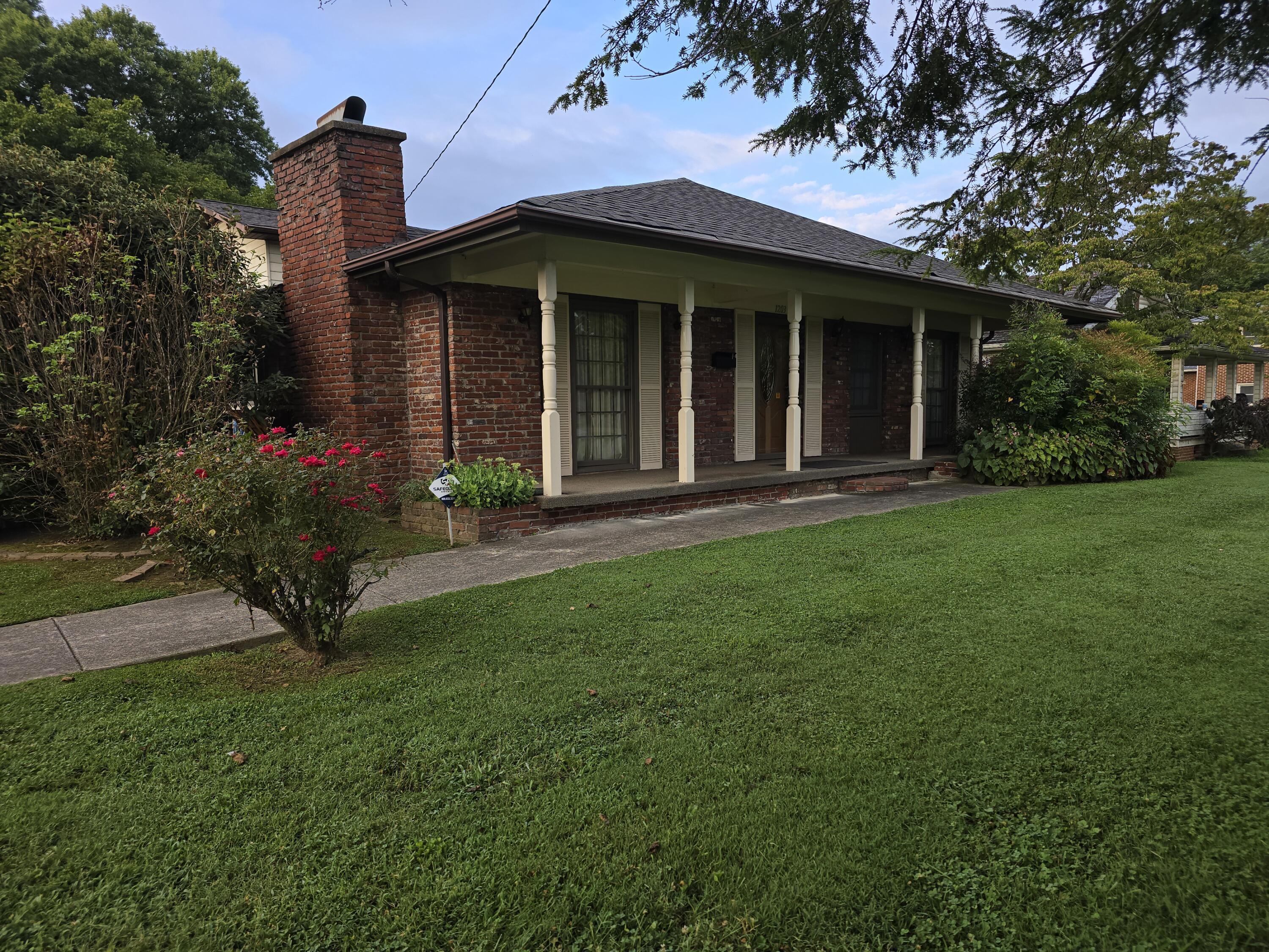 Image 3: 20250808_075154