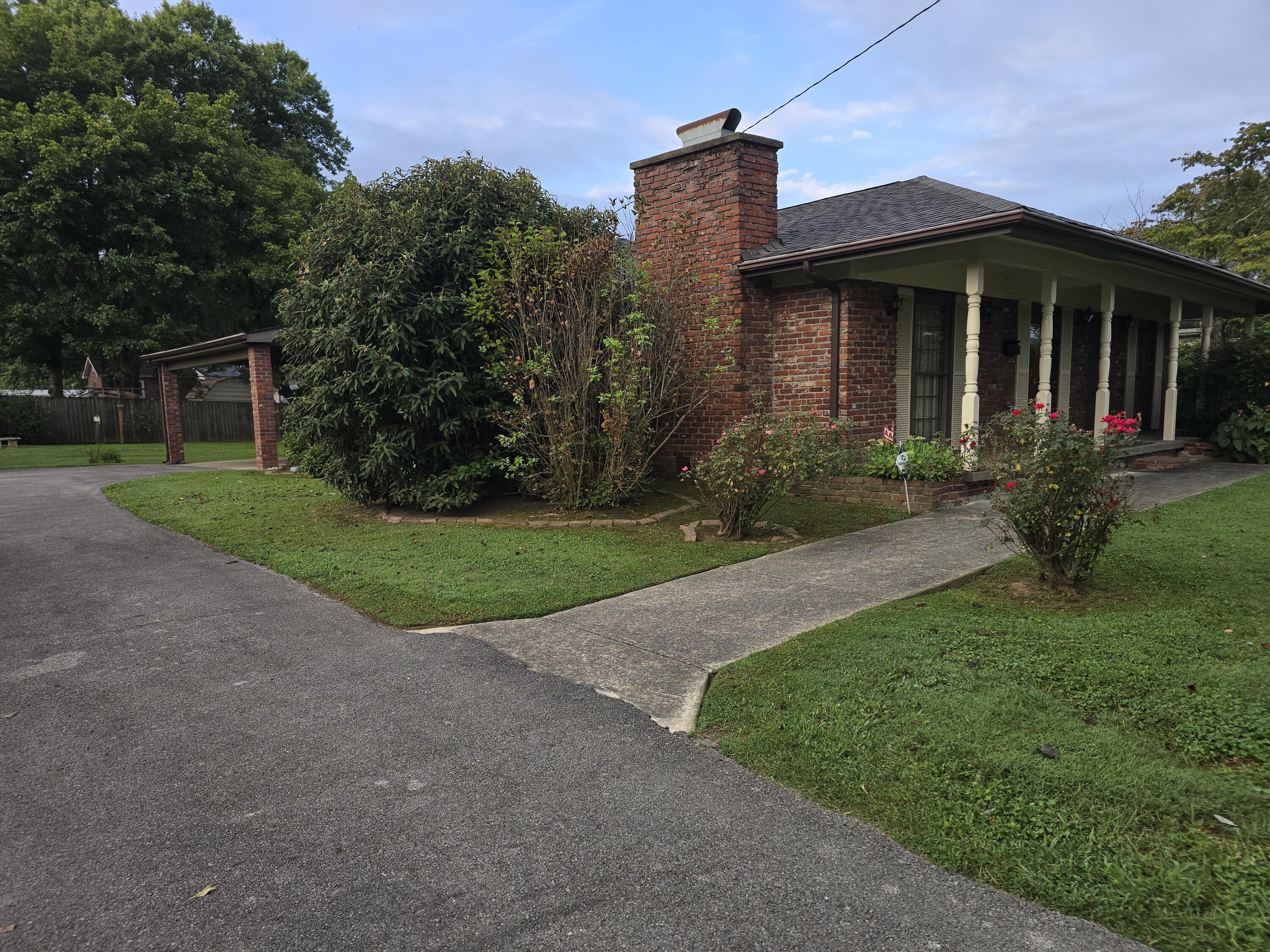 Image 4: 20250808_075206