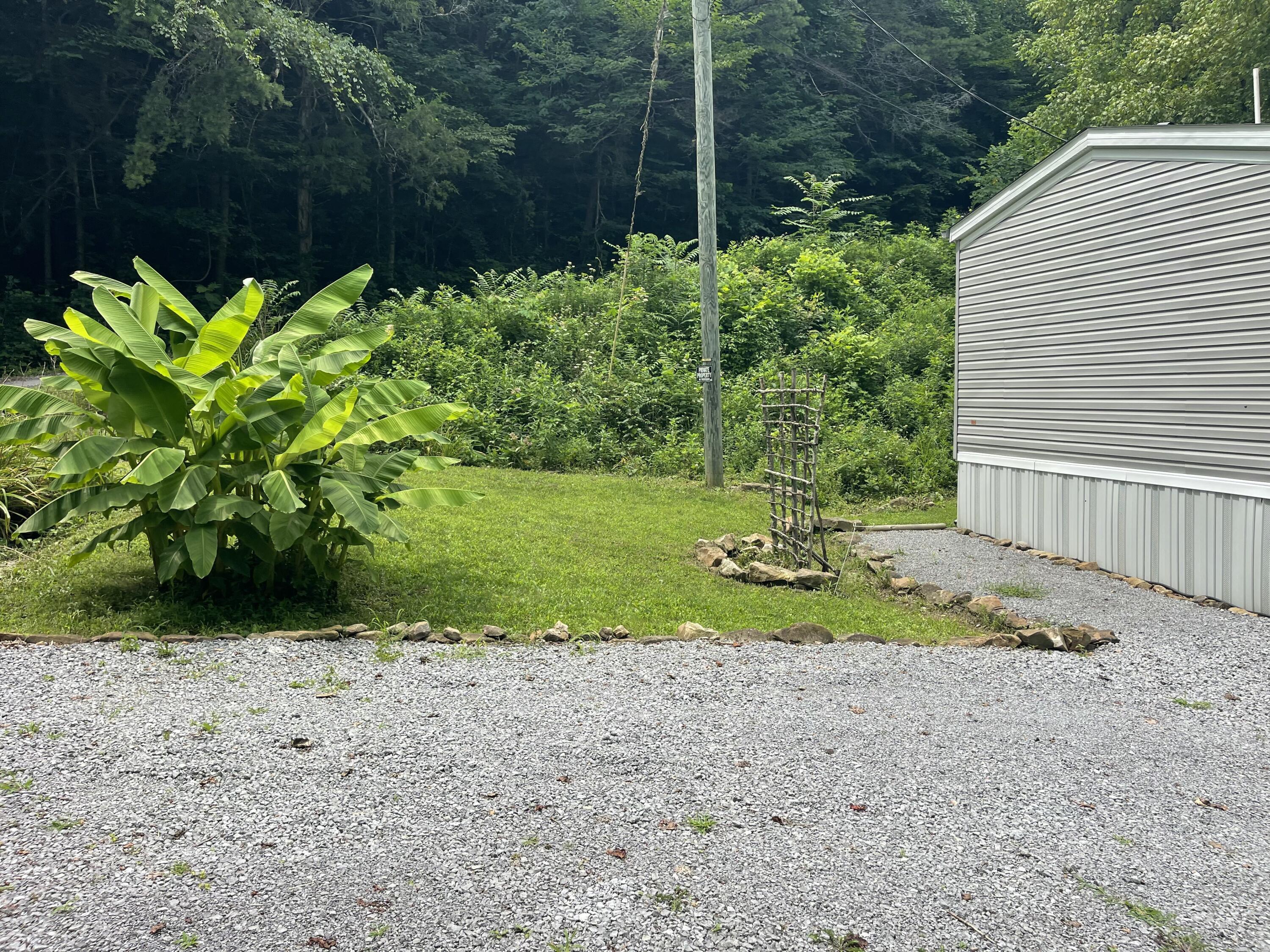 Image 3: IMG_7612