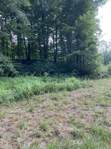2745 Hopper Creek Road