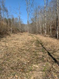 0000 Haney Branch Road
