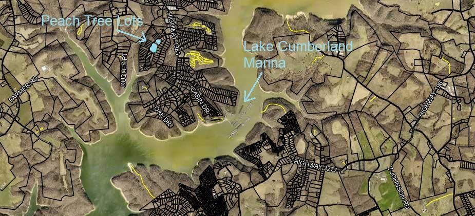 Image 2: Peach Tree Map Big
