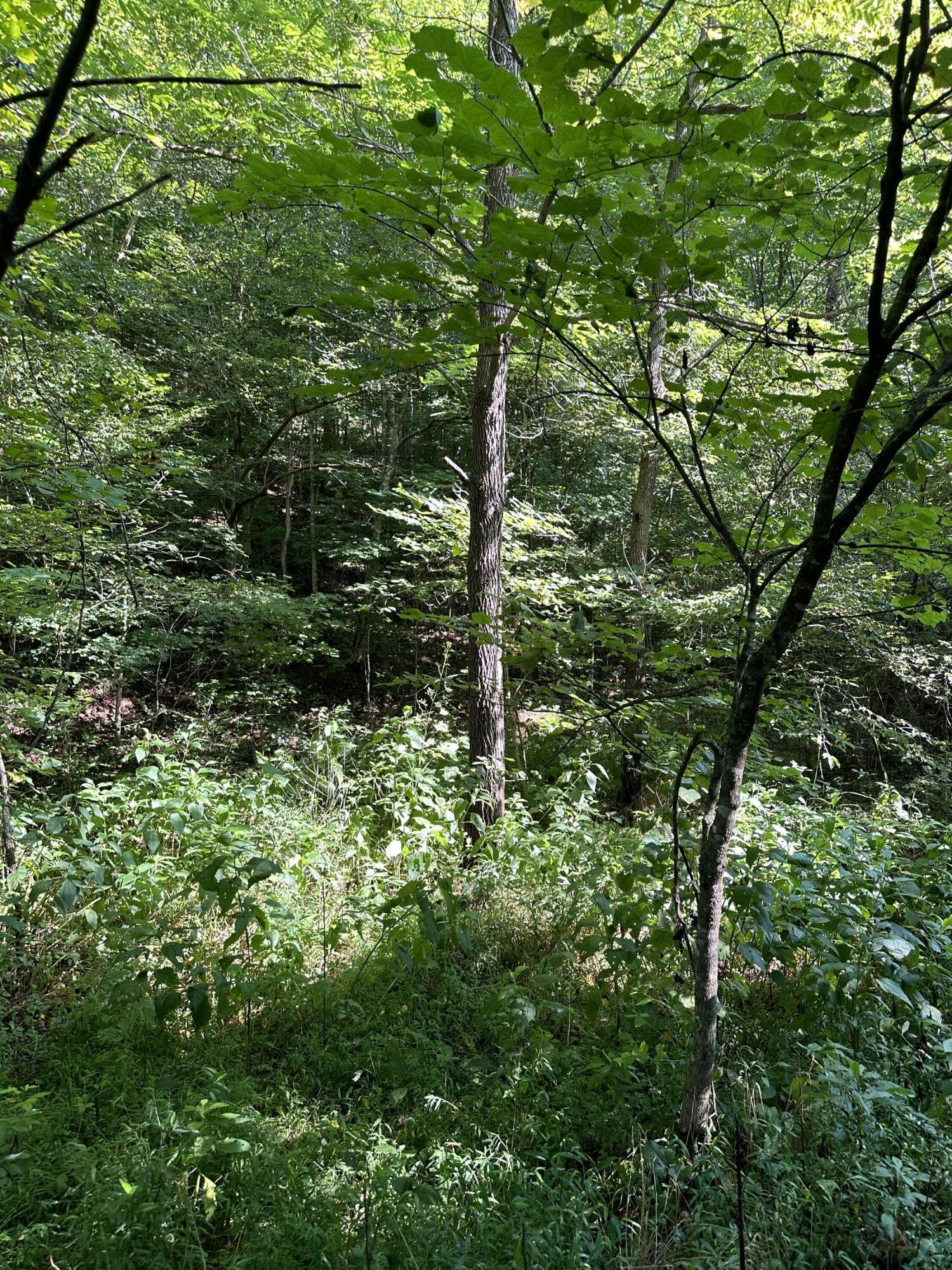 Image 3: IMG_7320