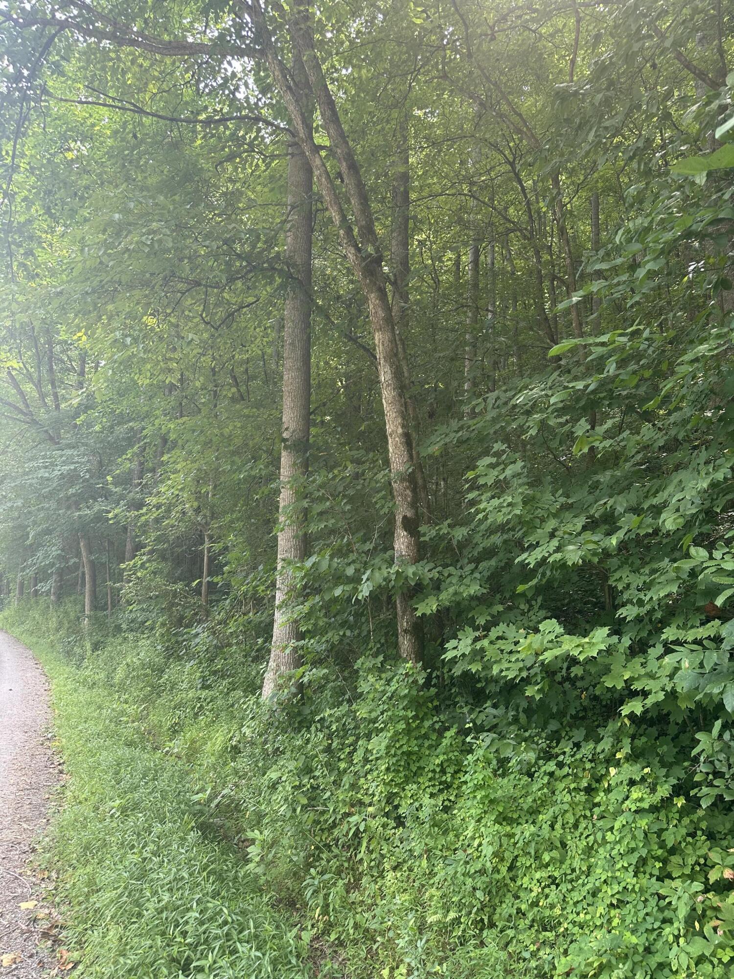Image 3: IMG_7138