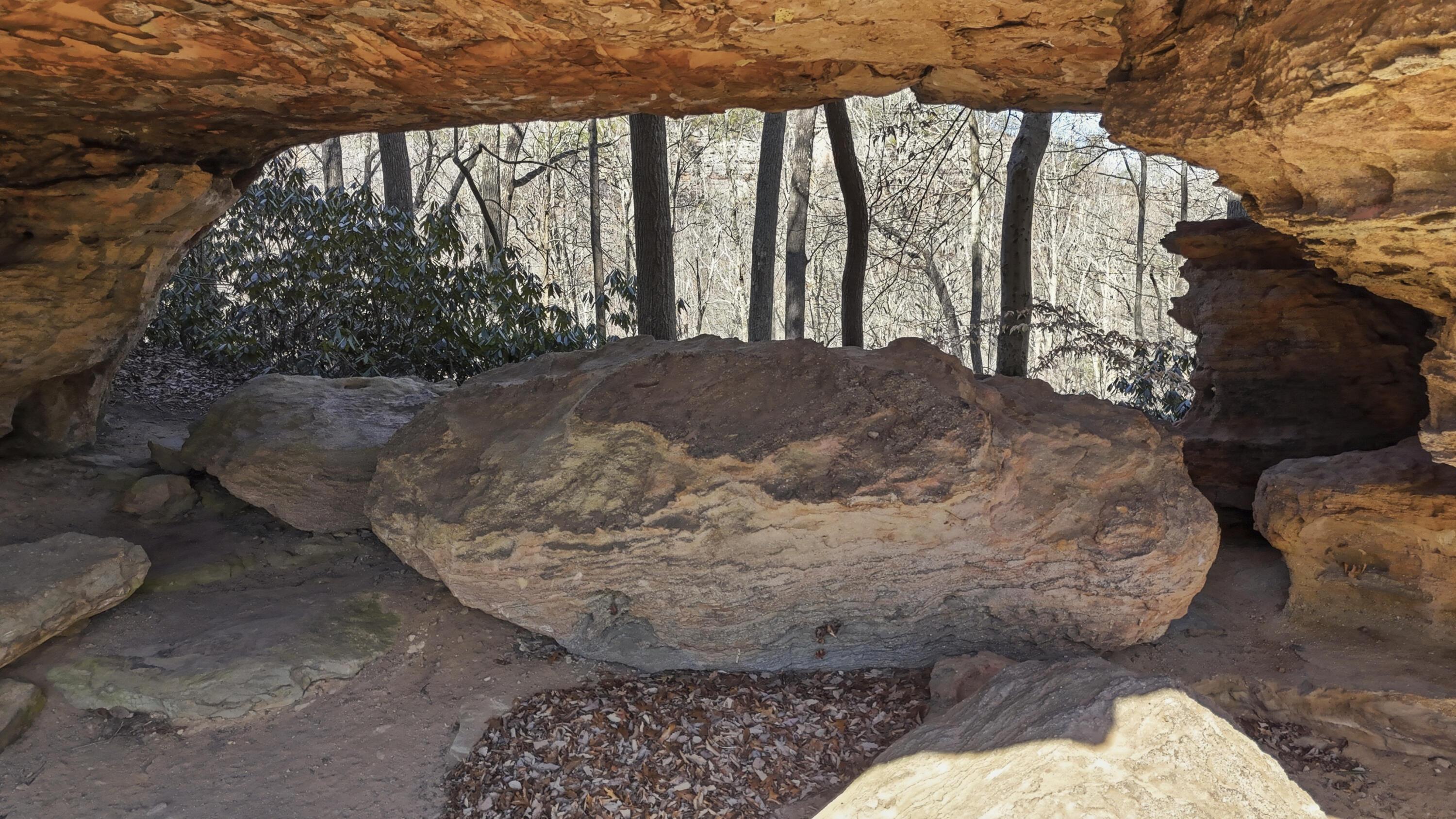 Image 4: DJI_20260309113324_0075_D