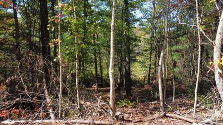 Lot #47 The Reserve At Cliffview