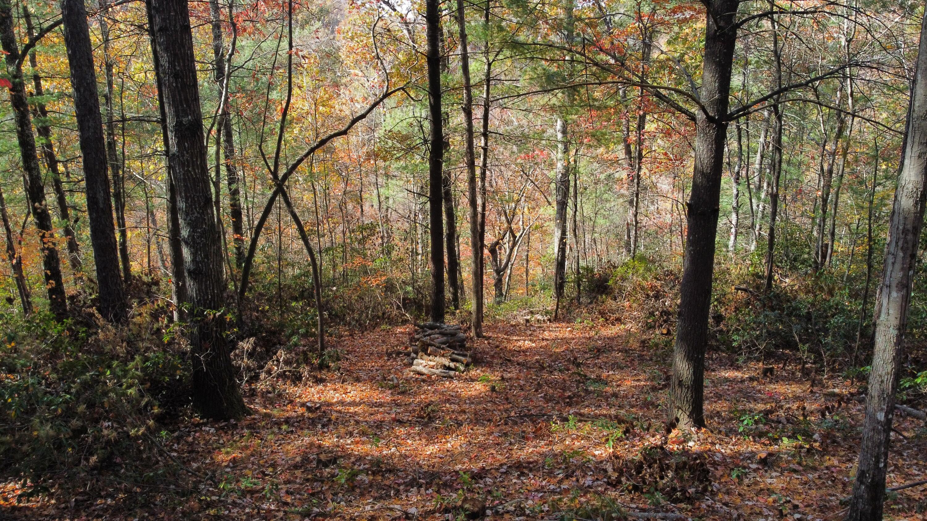 Image 2: dji_fly_20241030_142638_515_173031335768