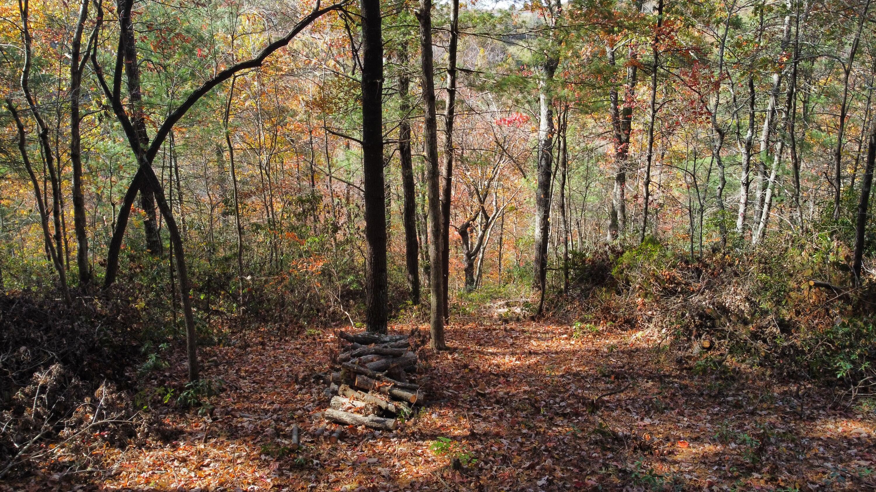 Image 3: dji_fly_20241030_142648_516_173031336050