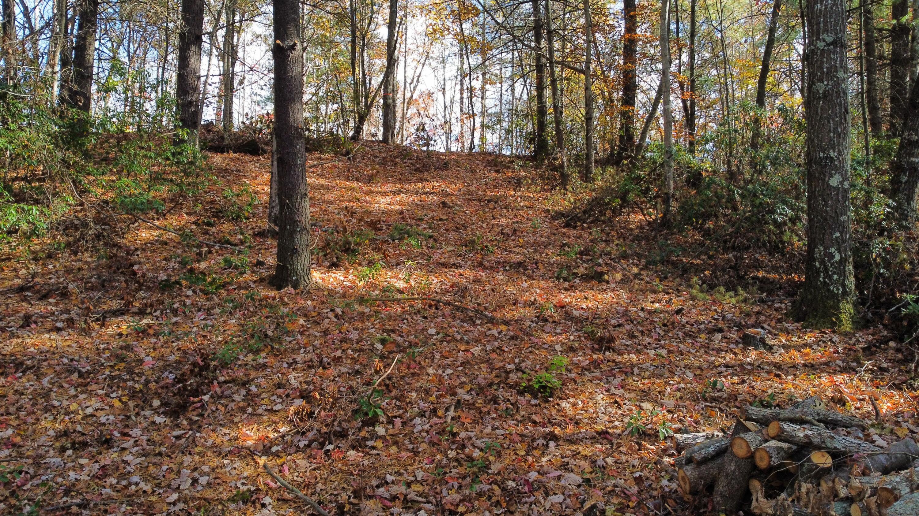 Image 4: dji_fly_20241030_142720_517_173031336345