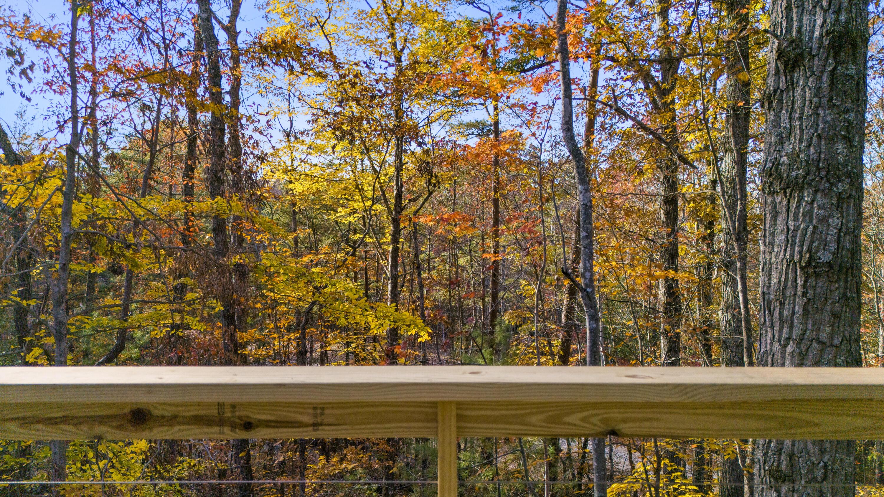 Image 4: DJI_20251104155528_0052_D