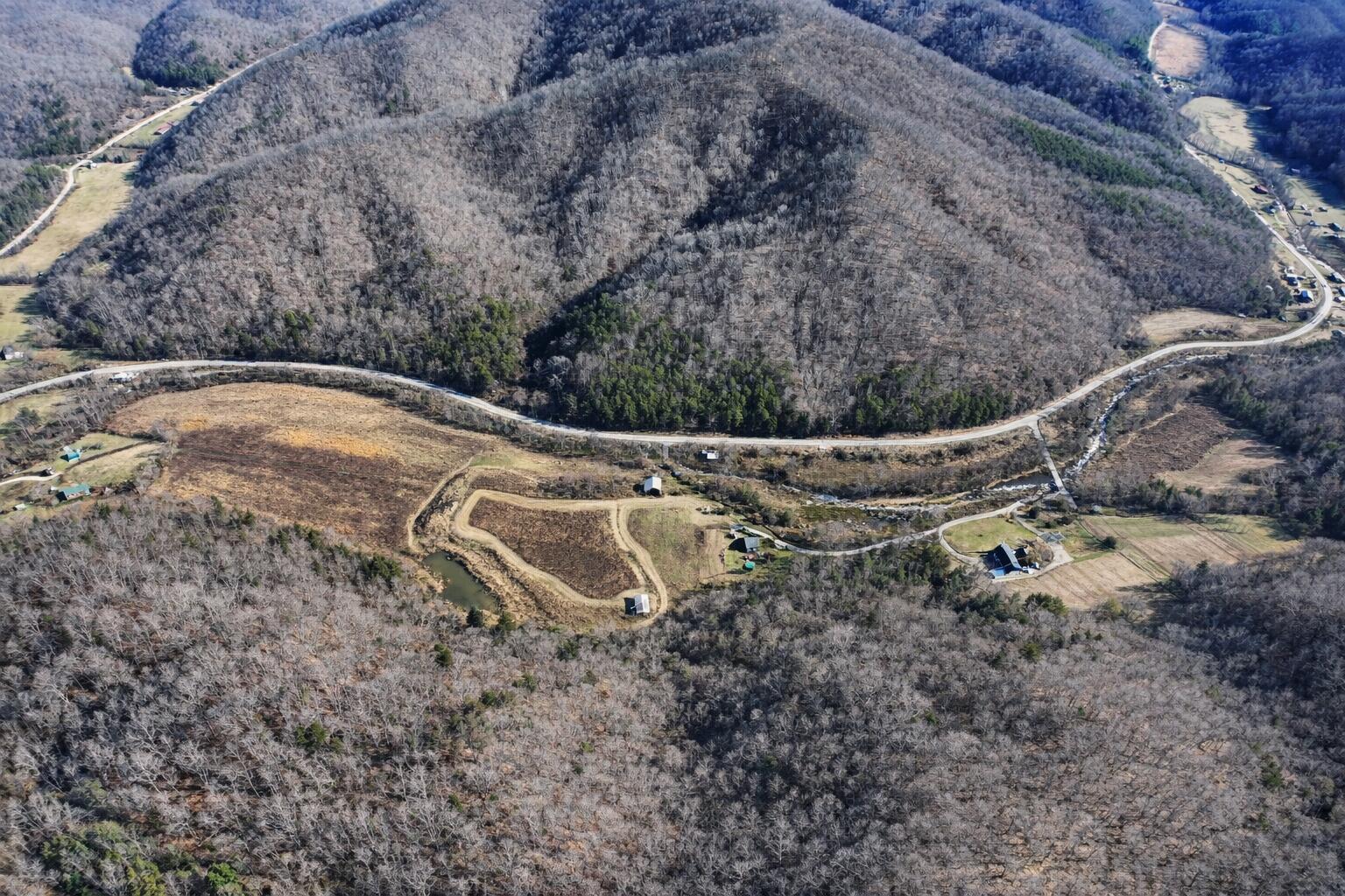 Image 3: Marketable timber!