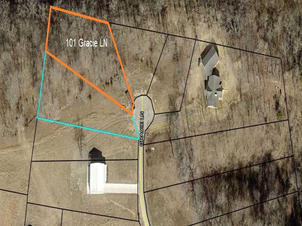Image 3: Gracie Lane 101