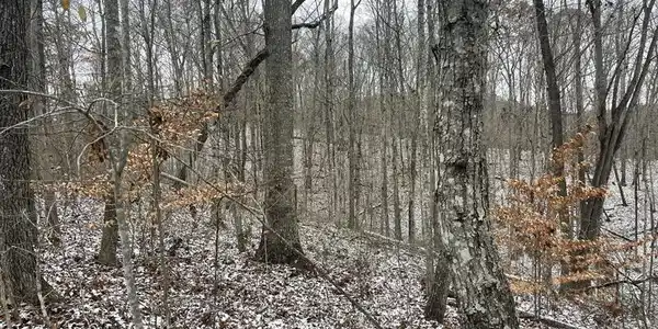45.72 Acre Hwy. 674