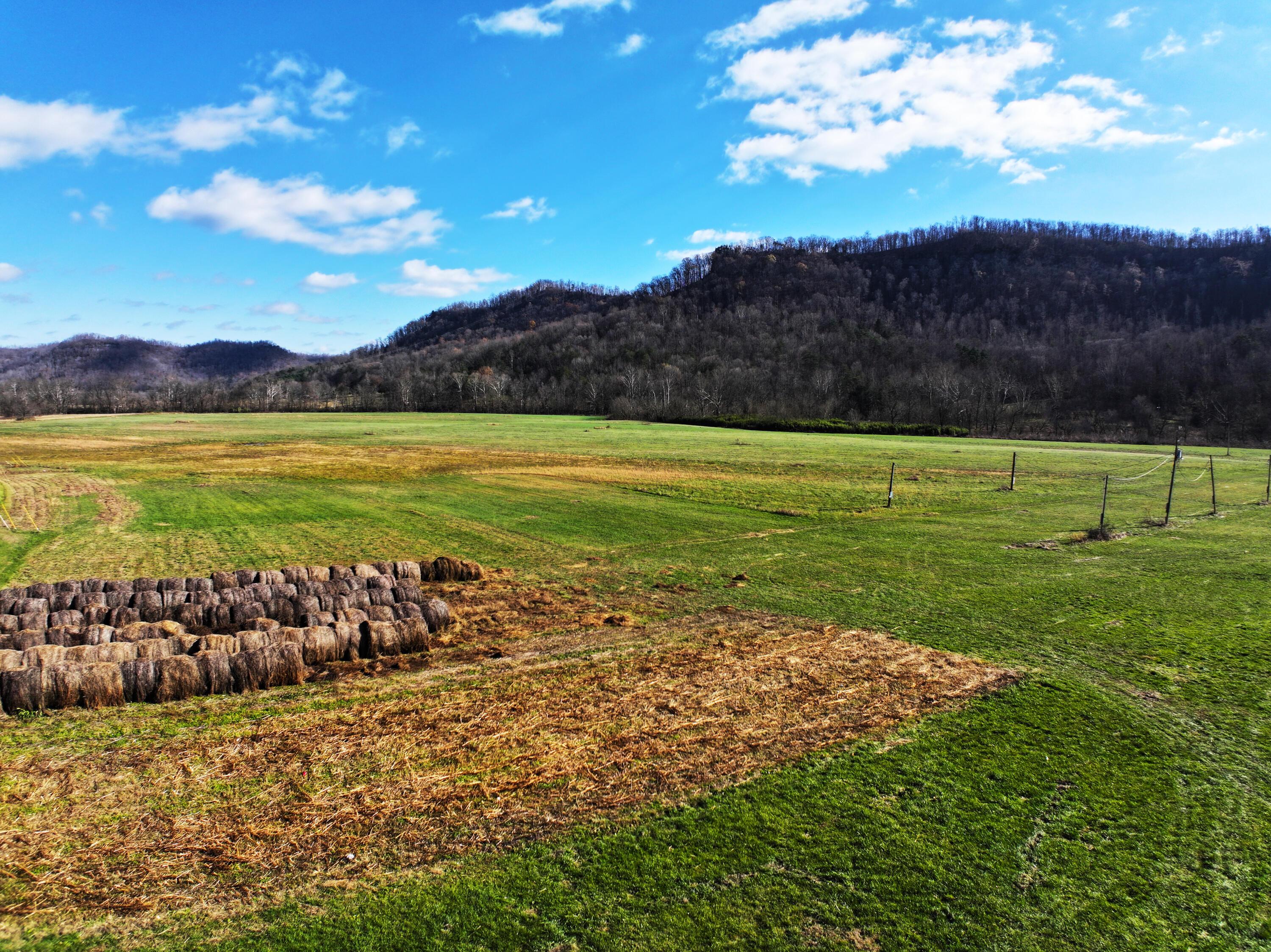 Image 2: 88 Acres of Opportunity on Red Lick Rd