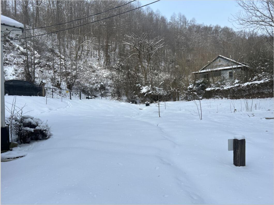 Image 4: Web capture_21-1-2025_12545_