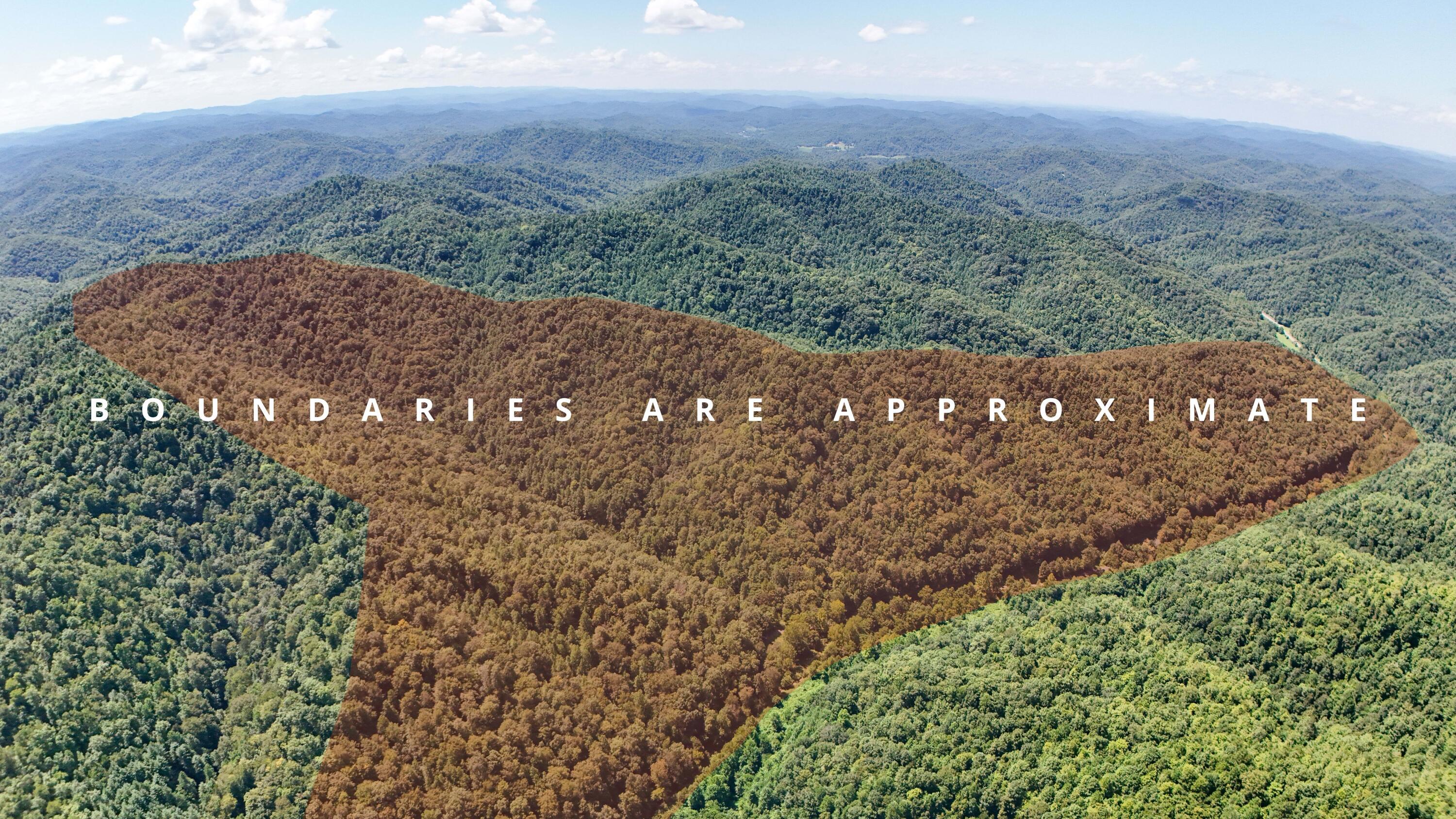 Image 2: Photo Aug 11 2025, 9 13 48 PM (1)