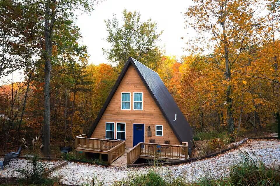 Image 1: 833e9021-7942-42f9-bc07-e65e9d13e851