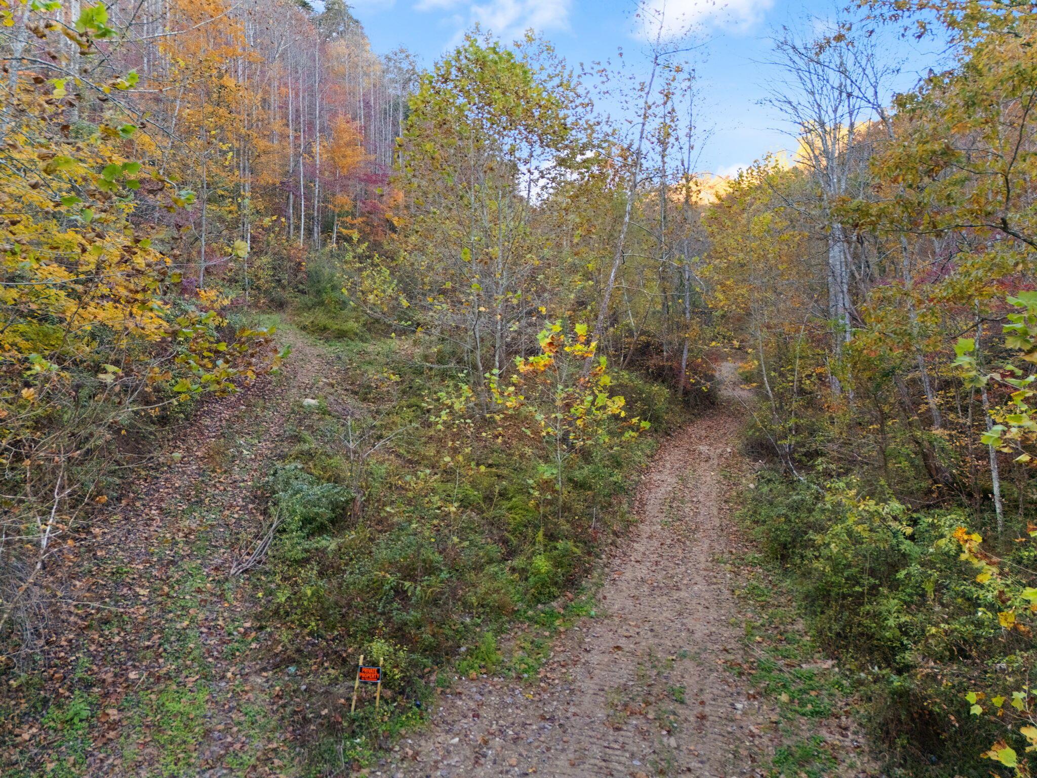 Image 1: 36-web-or-mls-DJI_20241024172935_0379_D