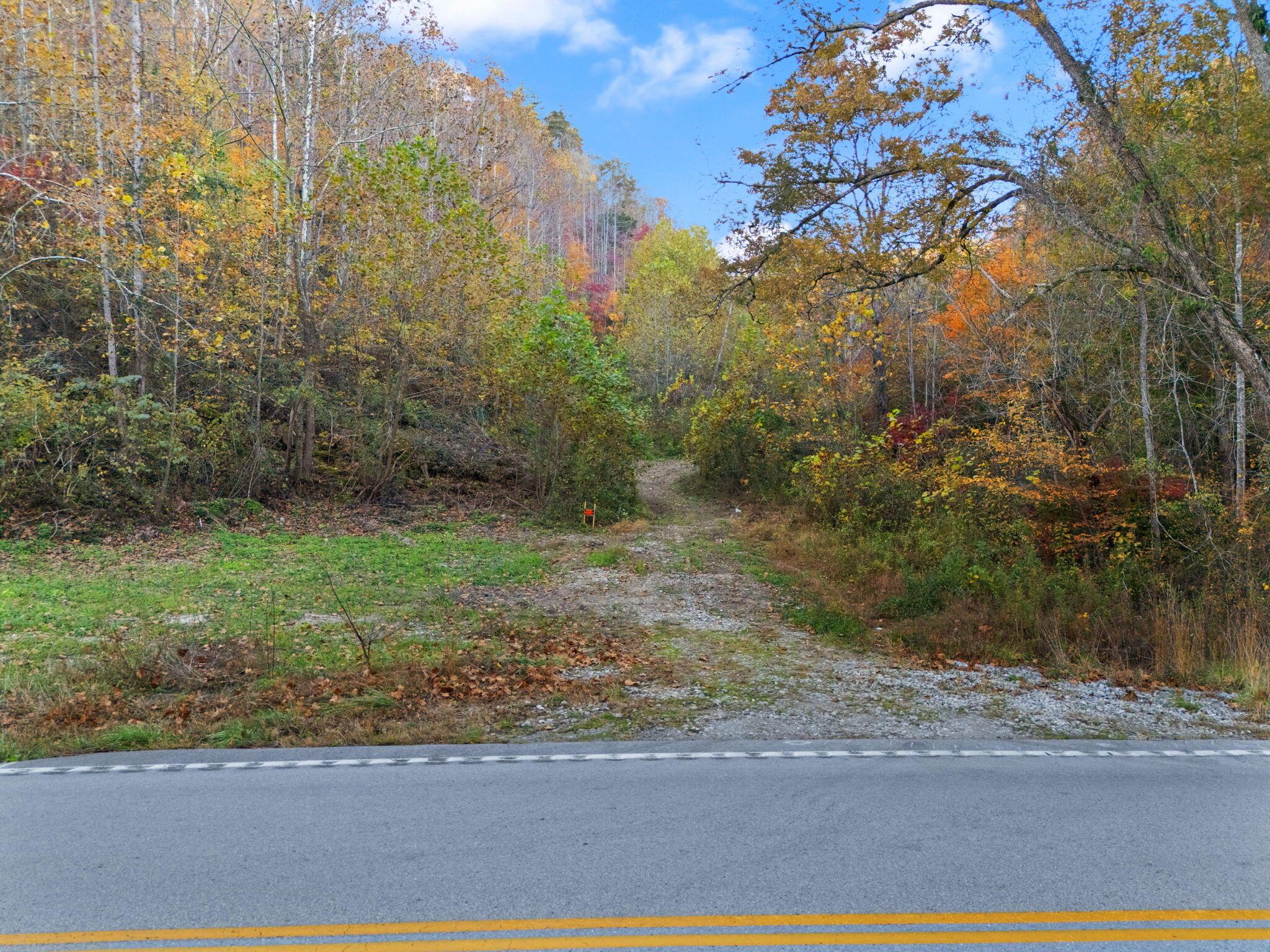 Image 3: 42-web-or-mls-DJI_20241024173545_0397_D