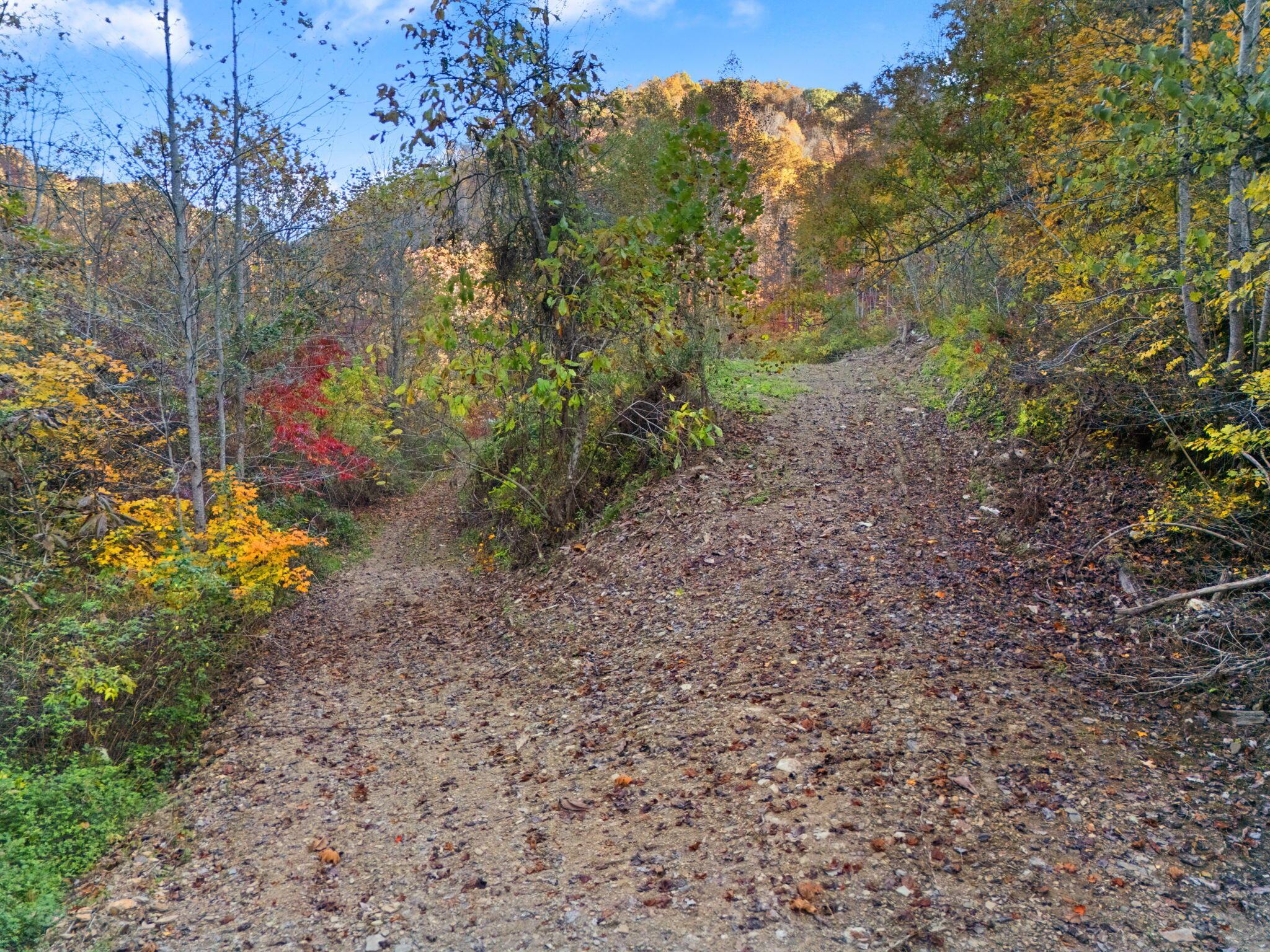 Image 4: 39-web-or-mls-DJI_20241024173023_0388_D