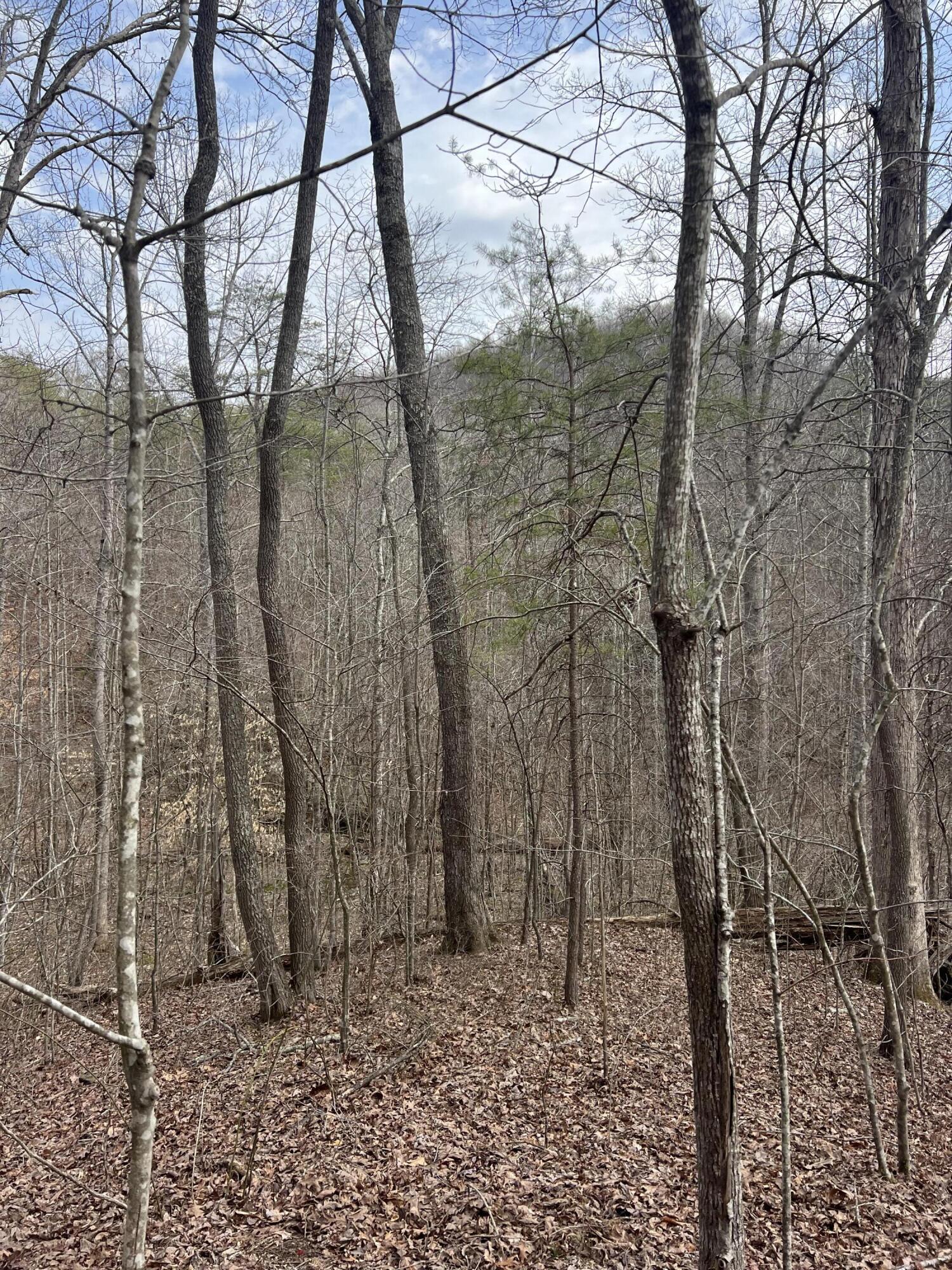 Image 1: 30598CC1-E943-4A96-B5A5-DDF760F944B3