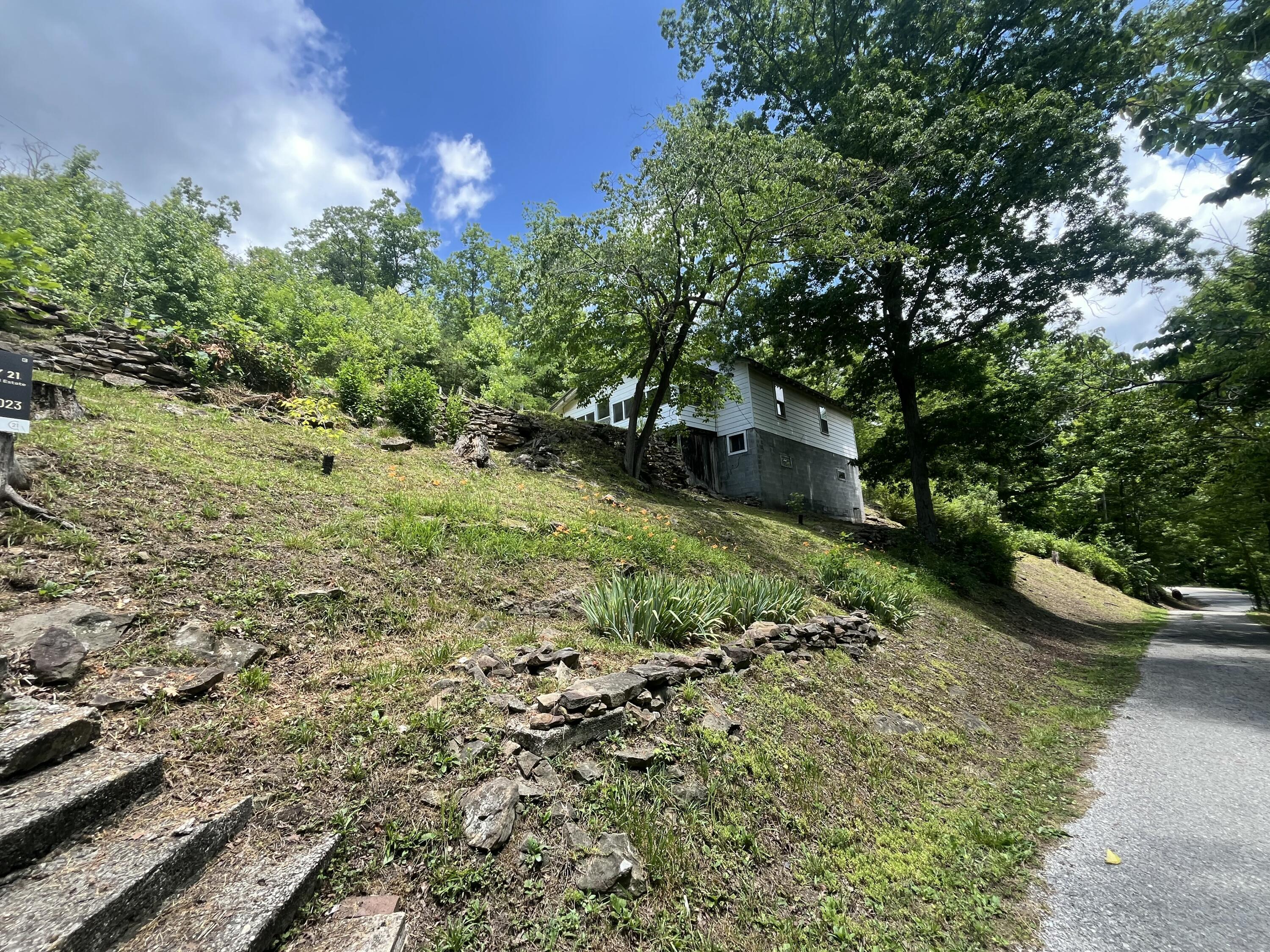 Image 3: IMG_7688 2