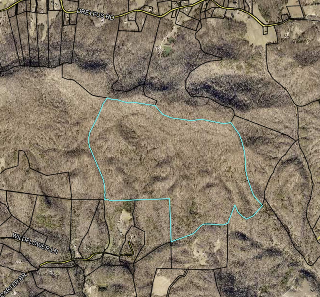 Image 3: Screen Shot 2025-03-11 at 7.18.27 PM