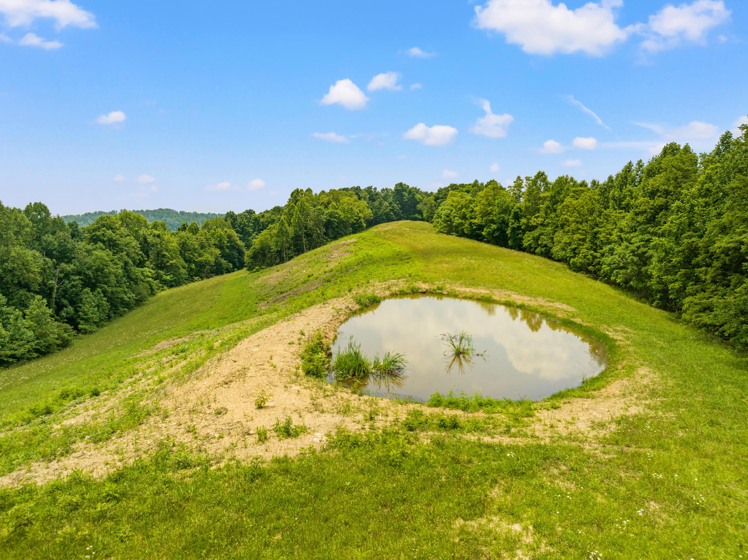 Image 3: dji_0626