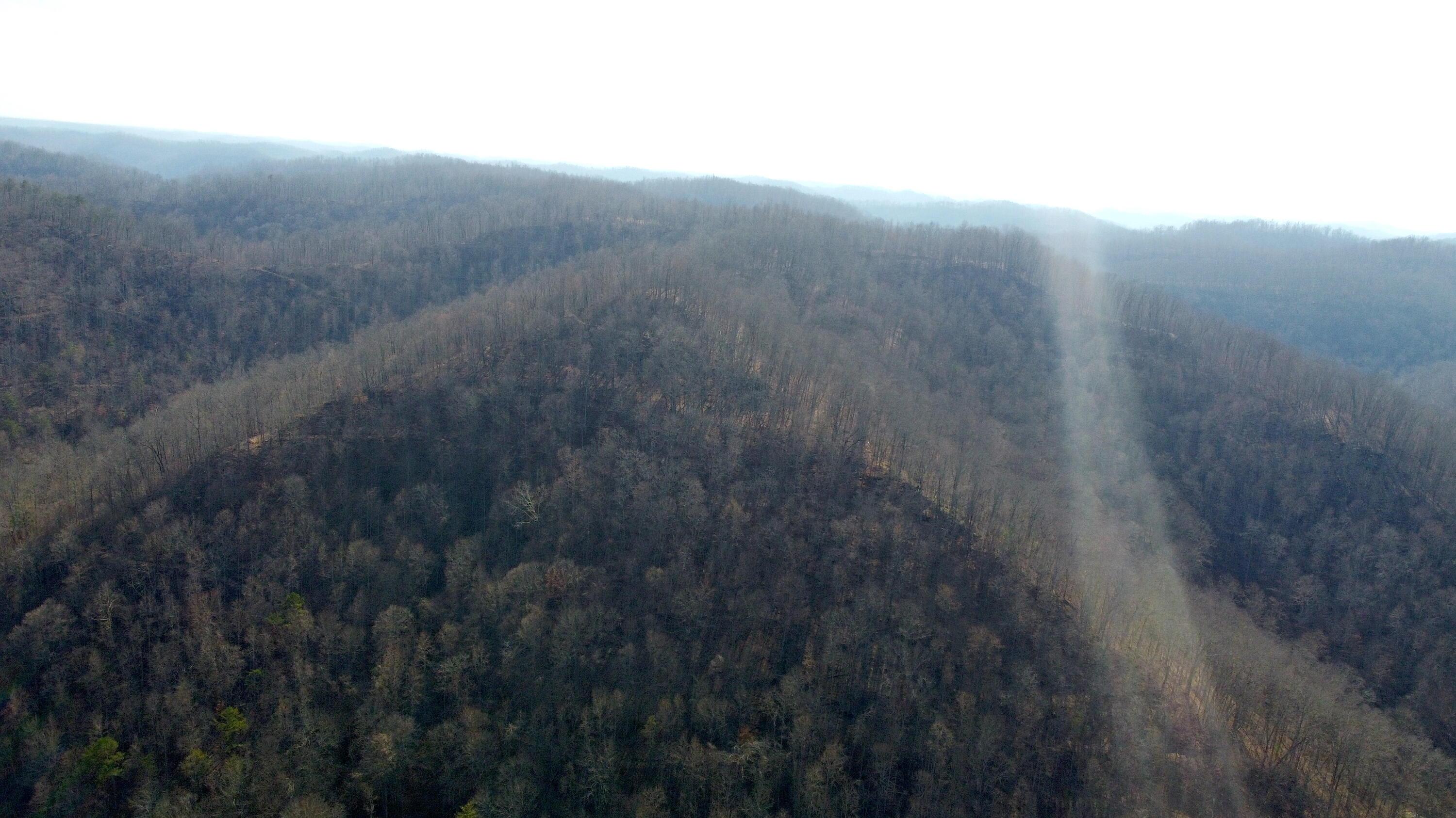 Image 3: DJI_0010