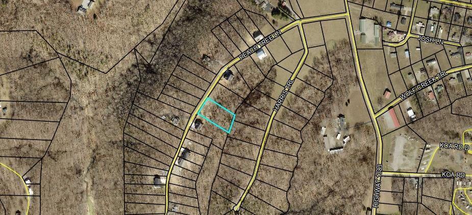 Image 3: Peach Tree Map Med 2